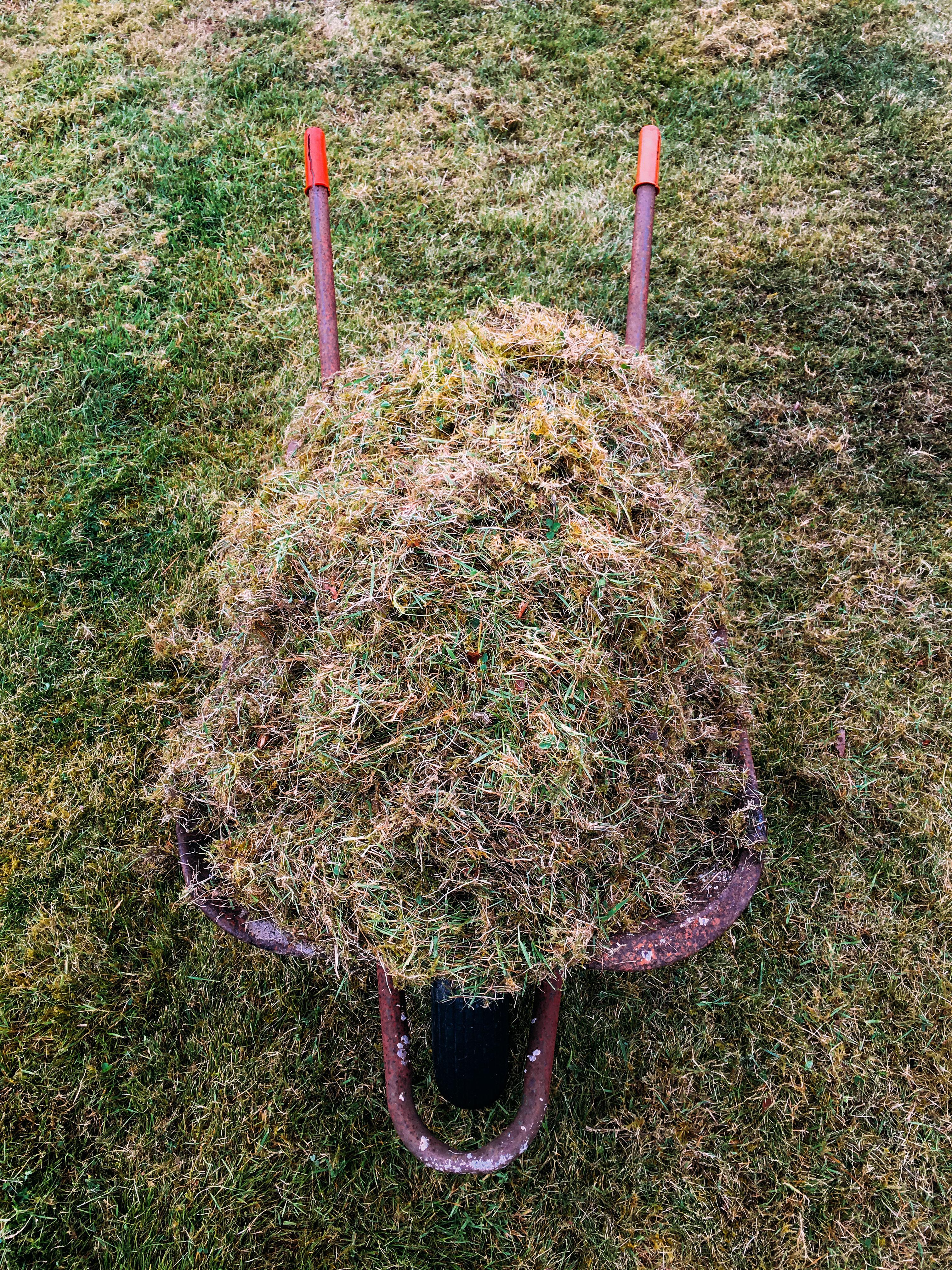 A wheelbarrow full of scarified lawn thatch (Alamy/PA)