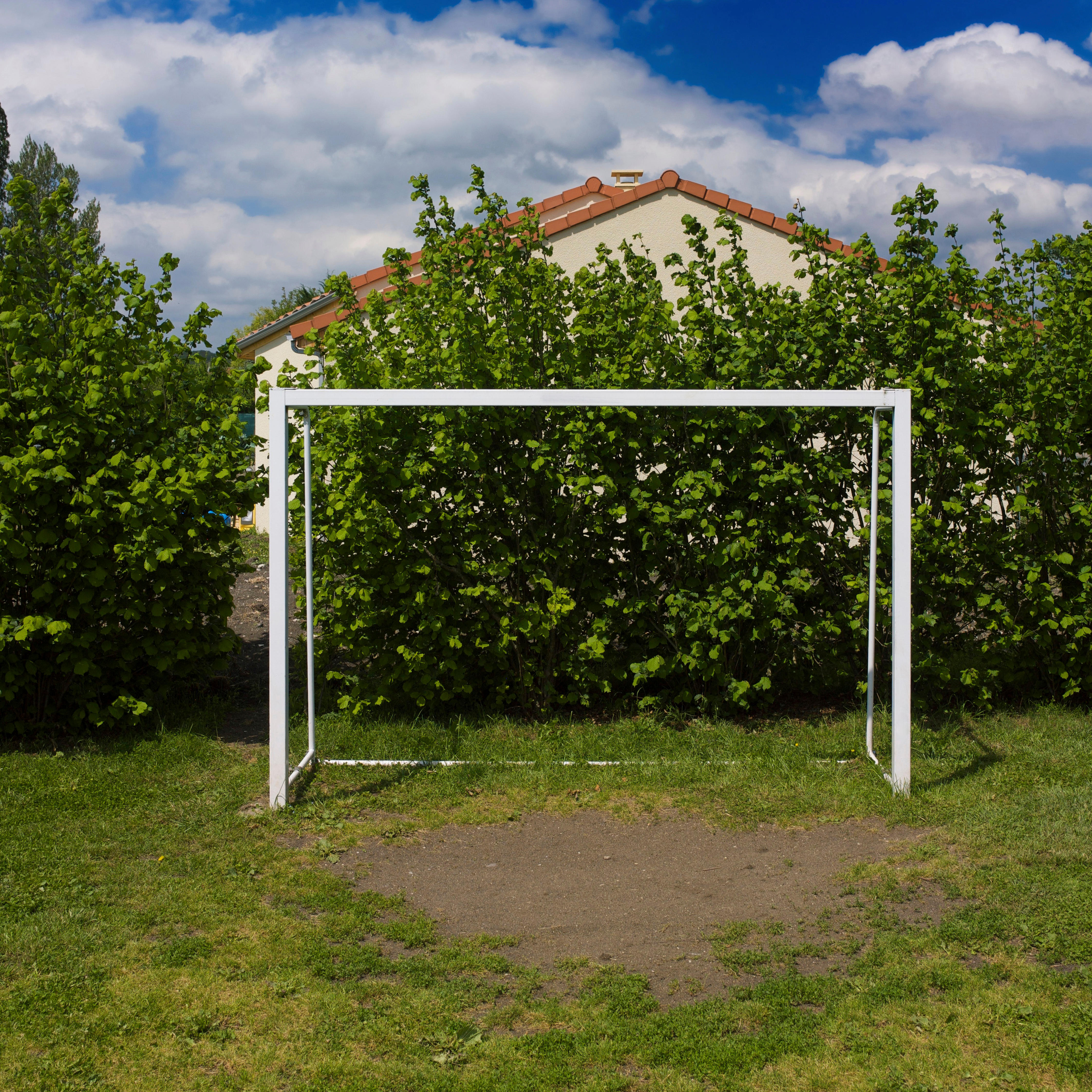 A goal in a garden (Alamy/PA)