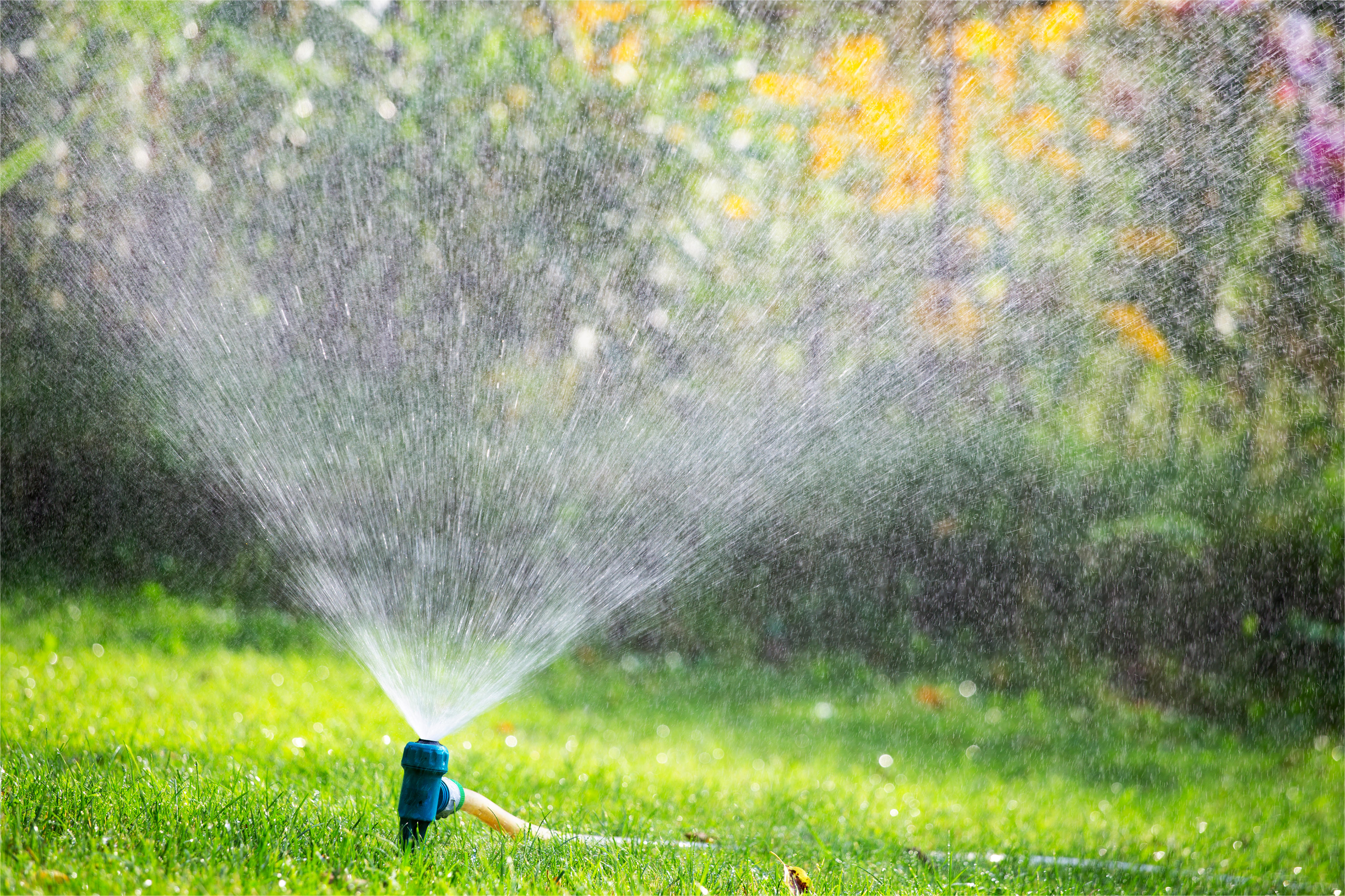 A sprinkler on a lawn (Alamy/PA)