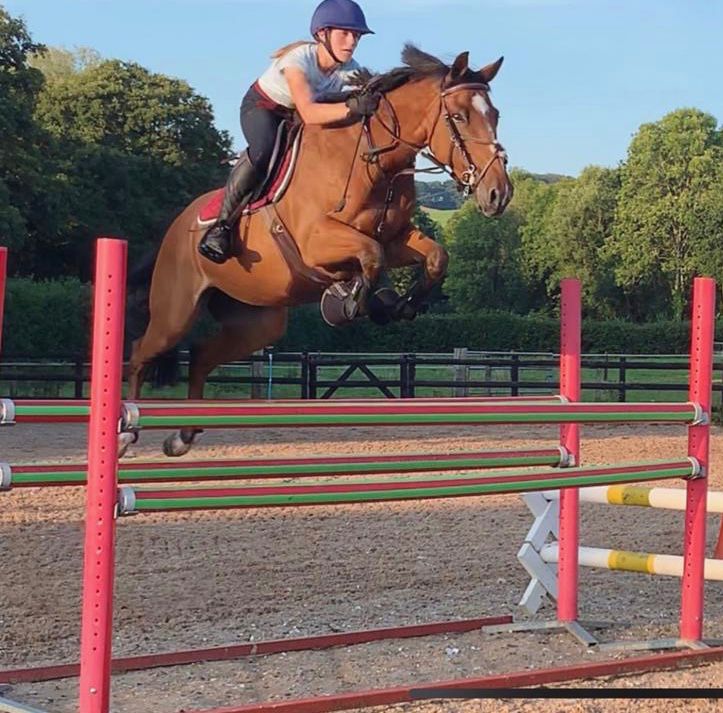 Girl jumping over fence on horse