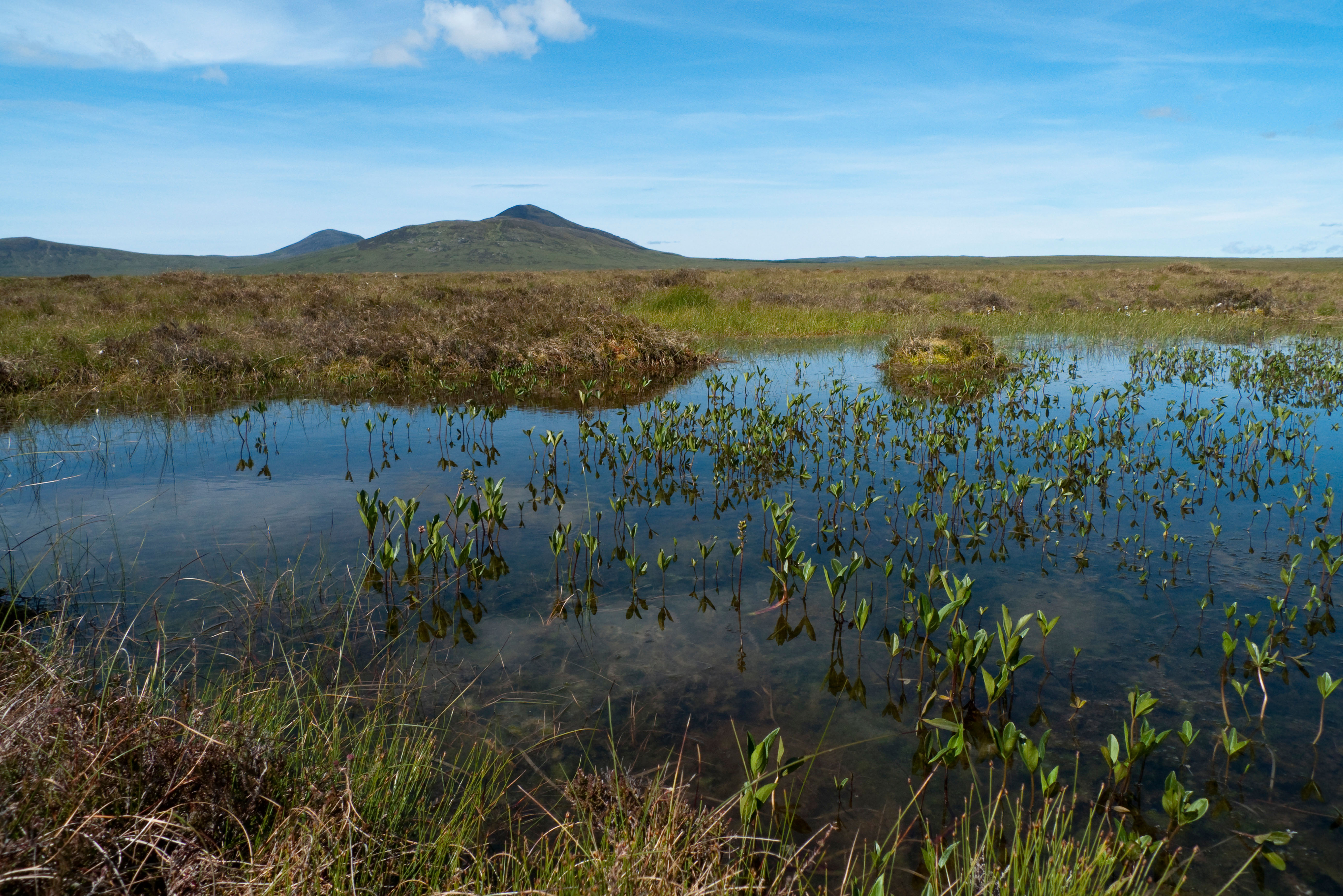 Peatland, with hill in the distance, under blue skies