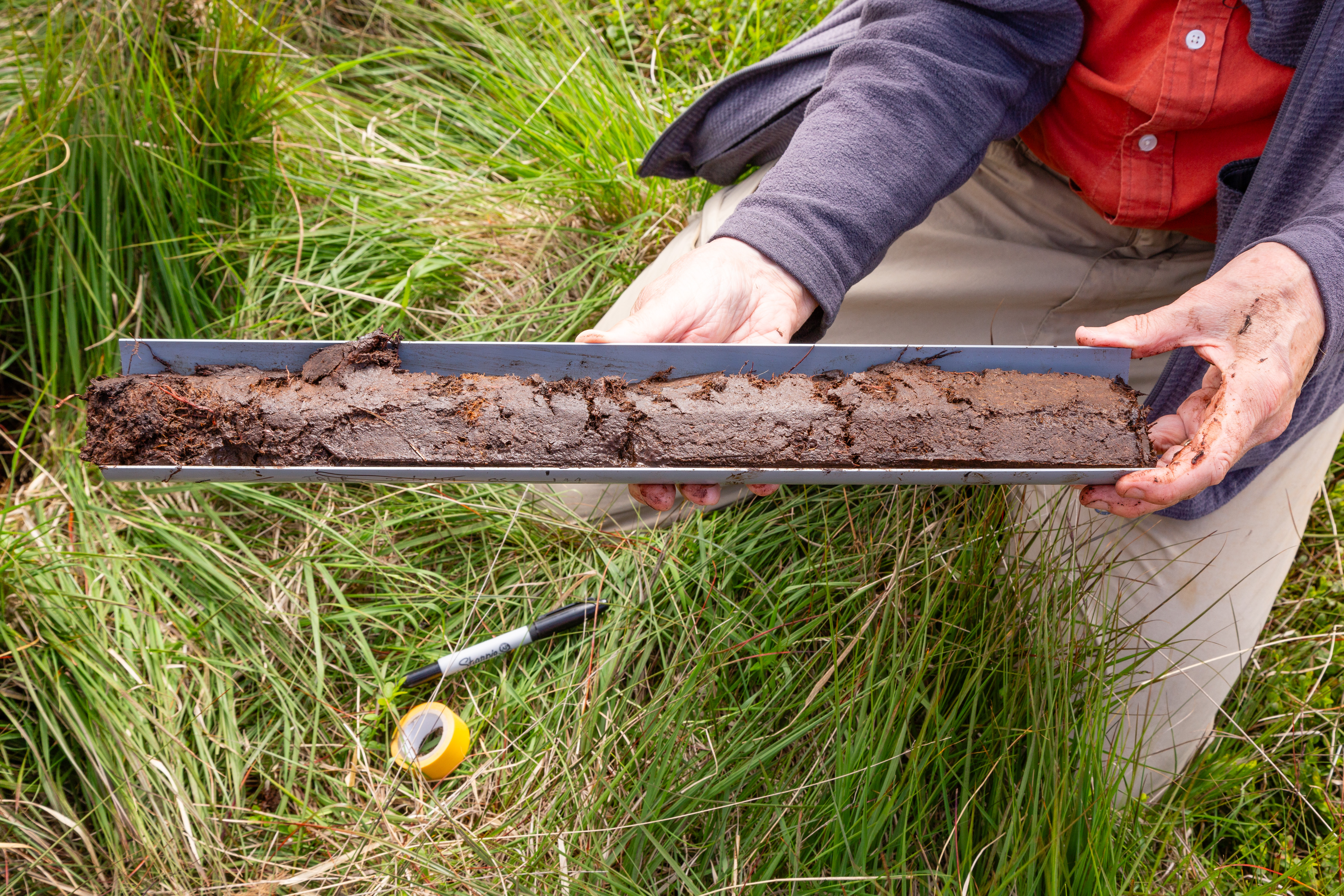 A sample of peat in a metal container, being held above grass by a worker