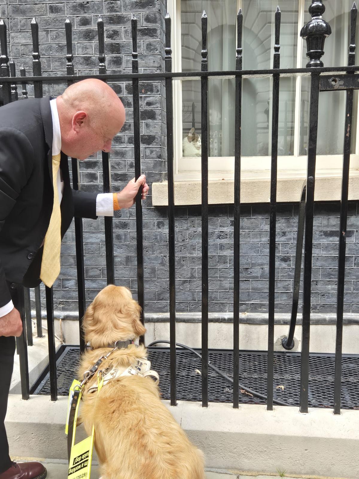 Jennie the guide dog looks through railings and into a window at Number 10 Downing Street, where Larry the Cat is asleep