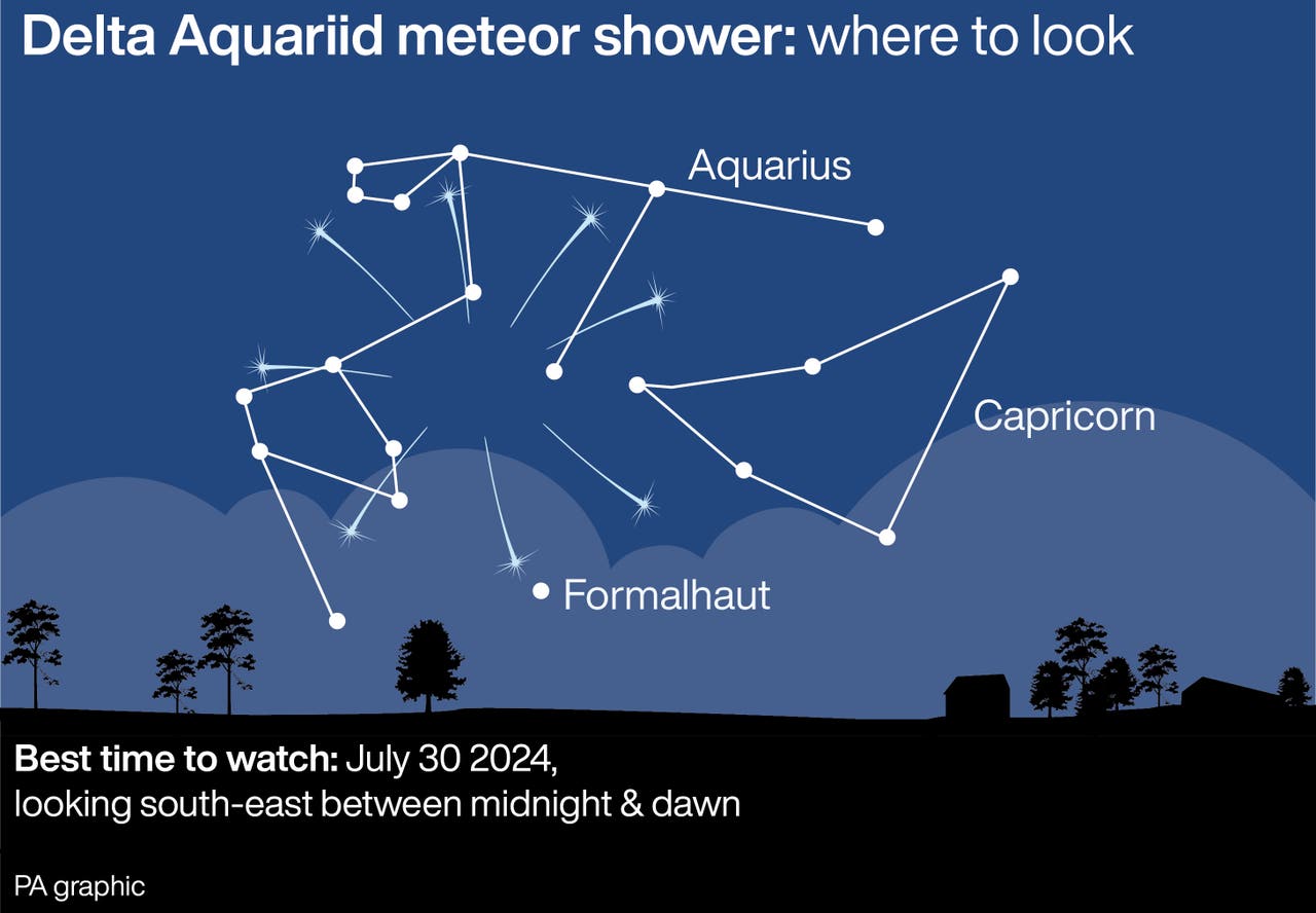 Delta Aquariid meteor shower to light up the night sky East London