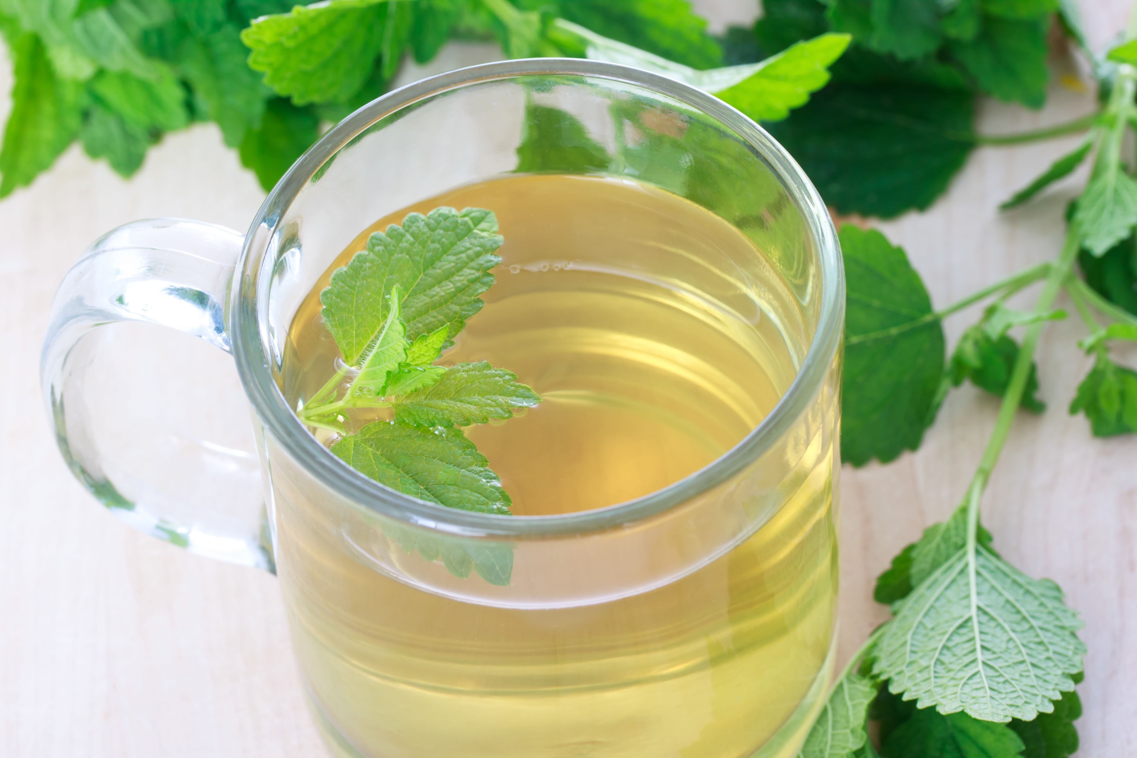 A cup of fresh mint tea (Alamy/PA)