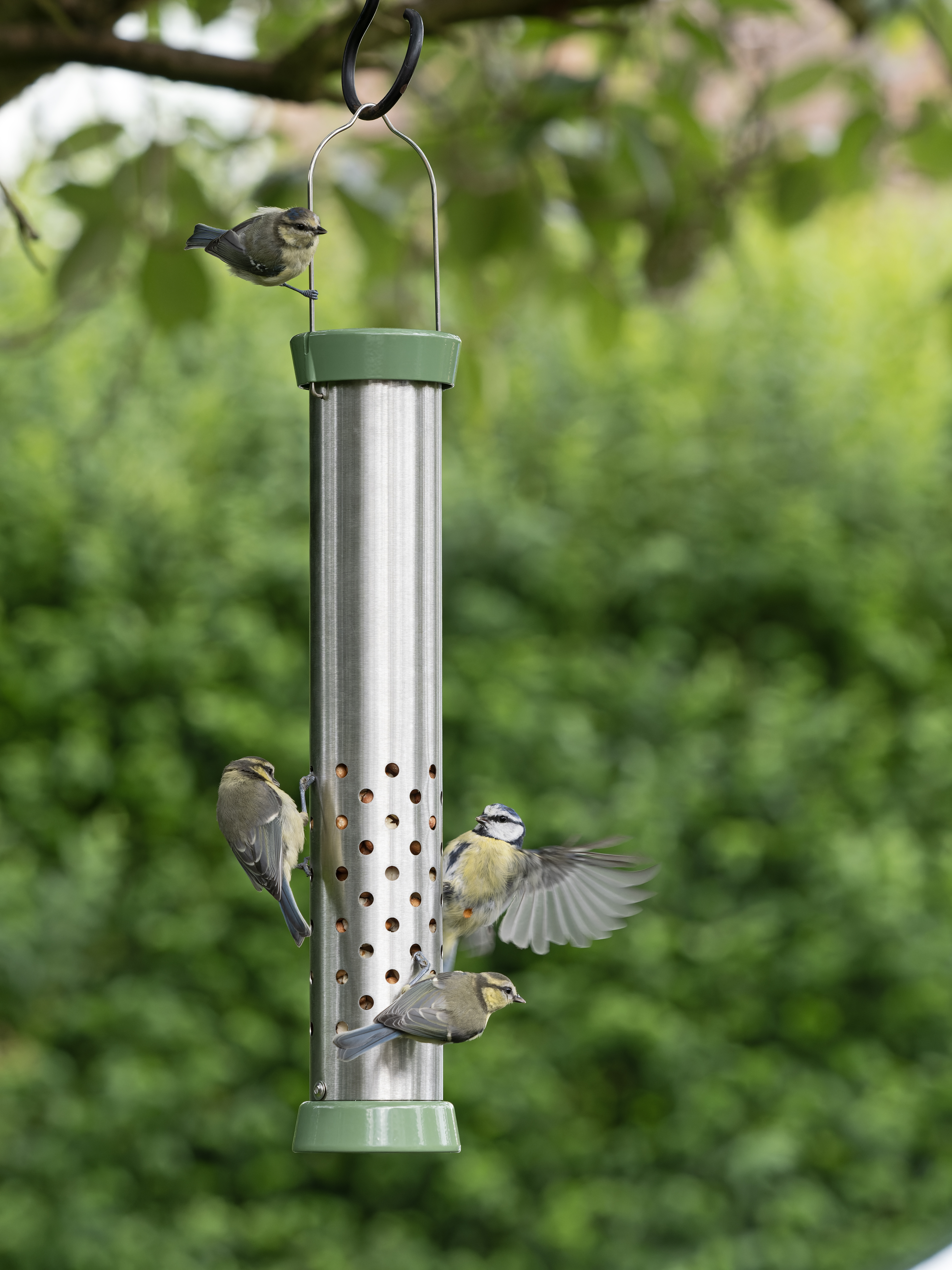 Ultimate easy-clean Cheater Feeder (RSPB/PA)