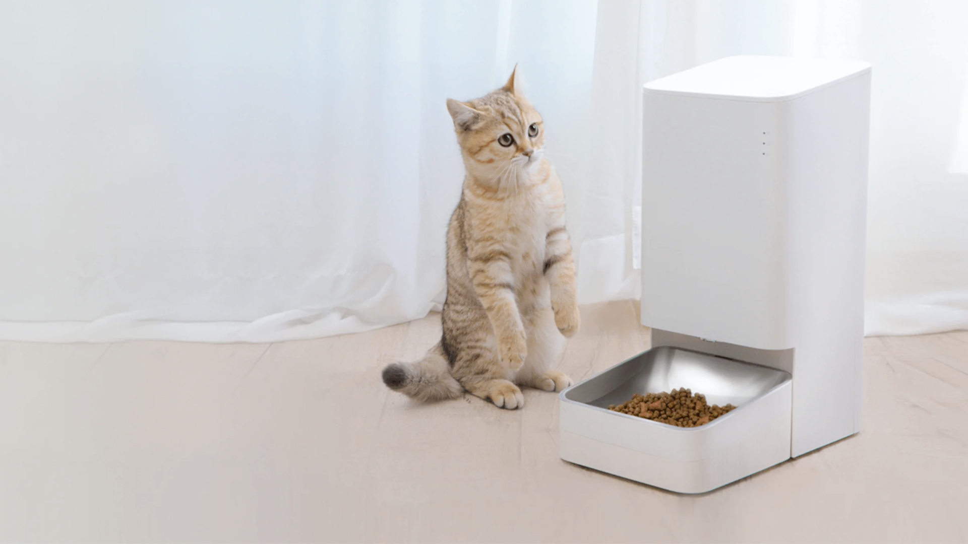 A cat using Xiaomi's Smart Pet Food Feeder