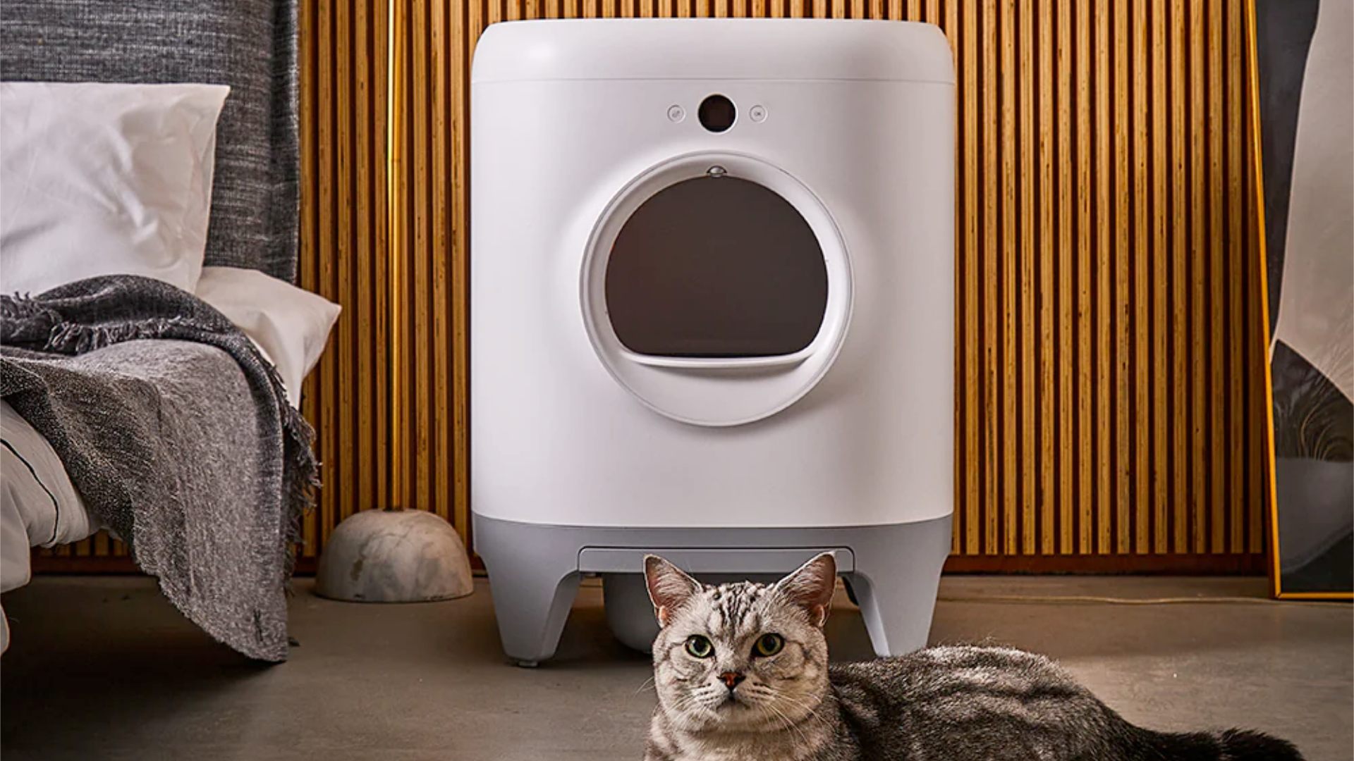 A cat in front of the PetKit Pura X, £399.99, was £599