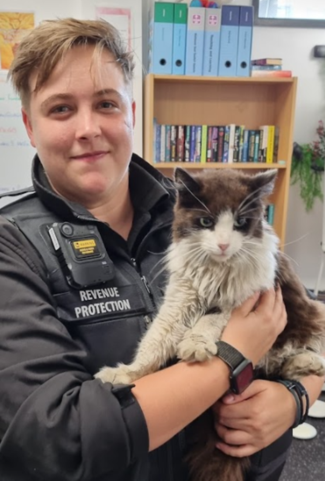 A cat found on a bus being looked after by a revenue protection worker