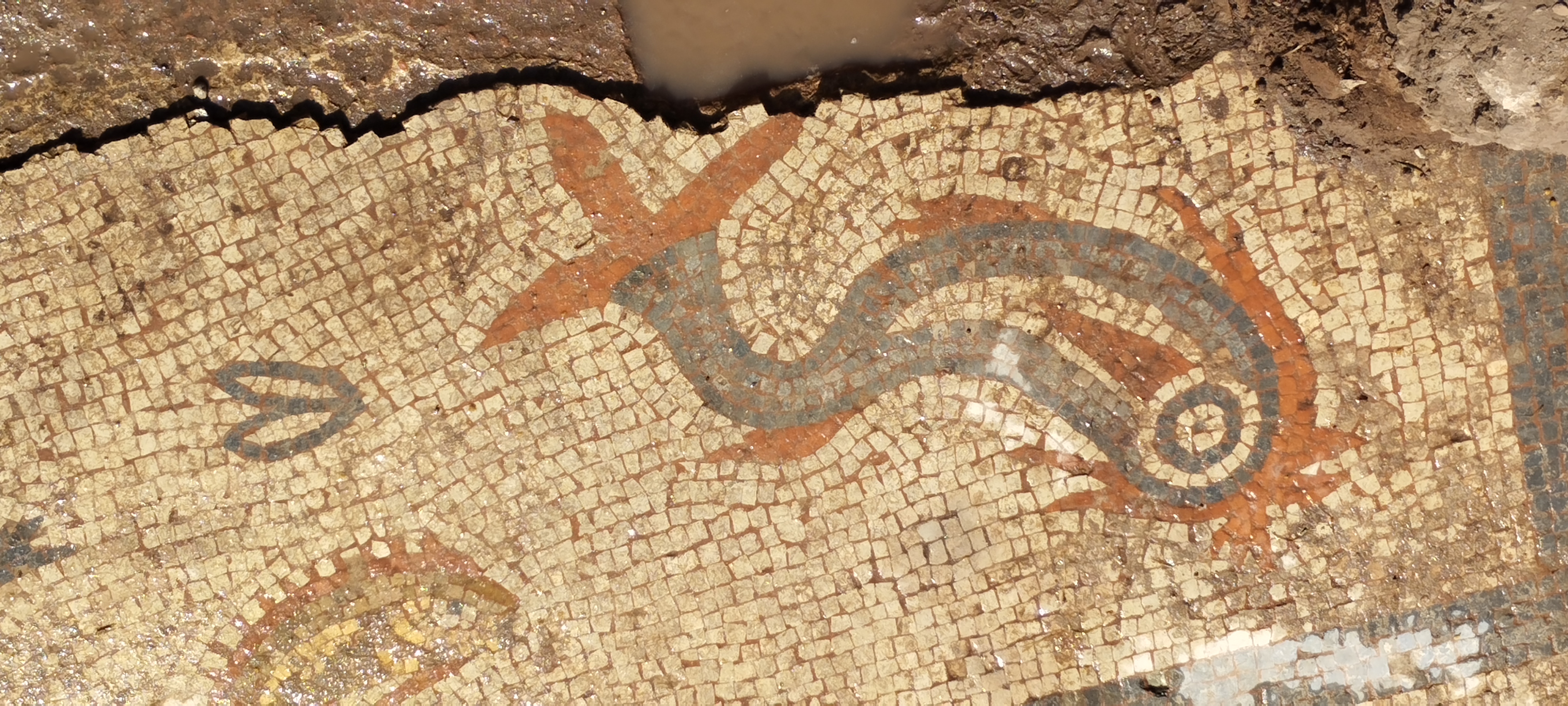 Detail of mosaic showing sea creatures in red, blue and yellow on white background