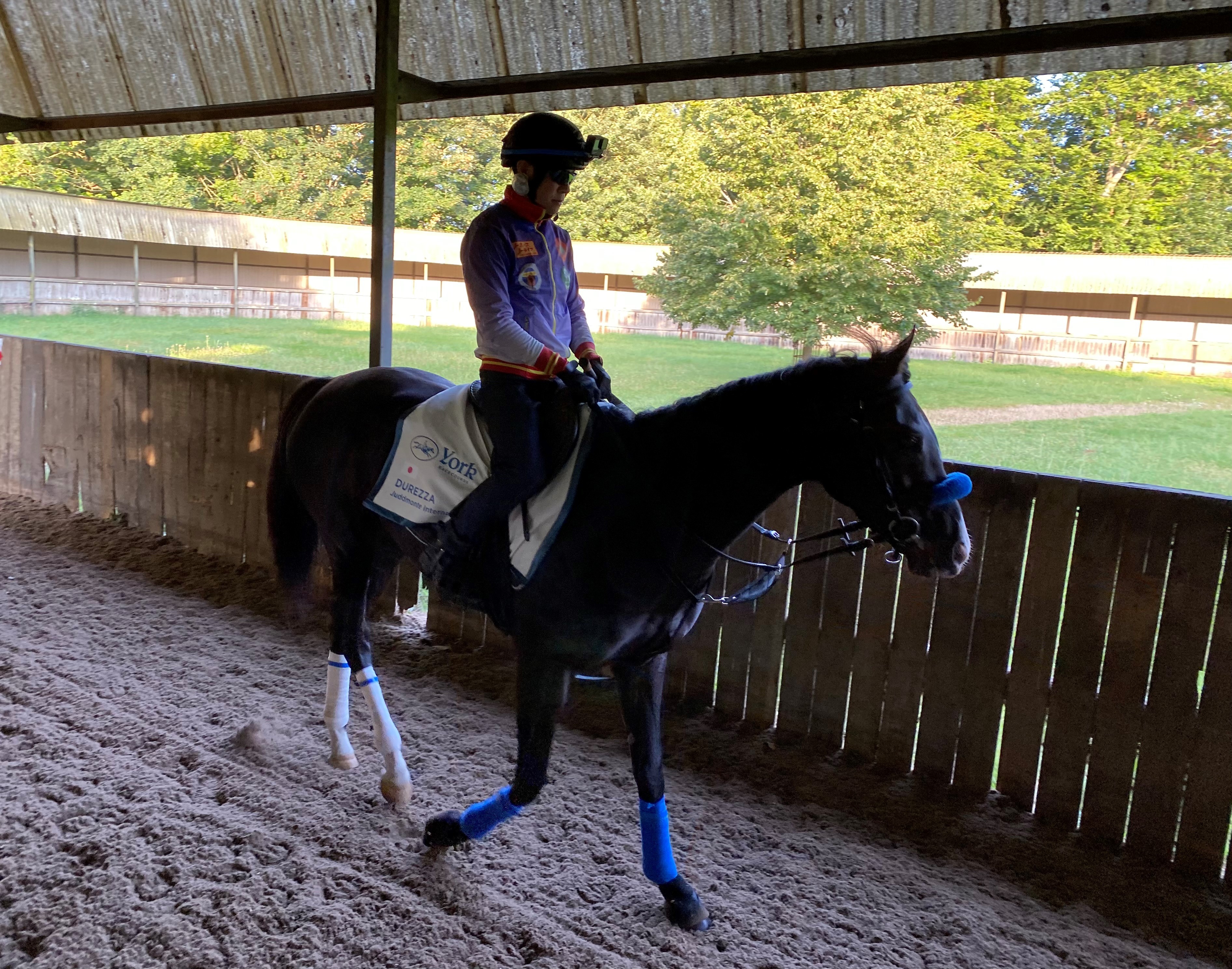 Durezza is in Newmarket ahead of his trip to York next week 