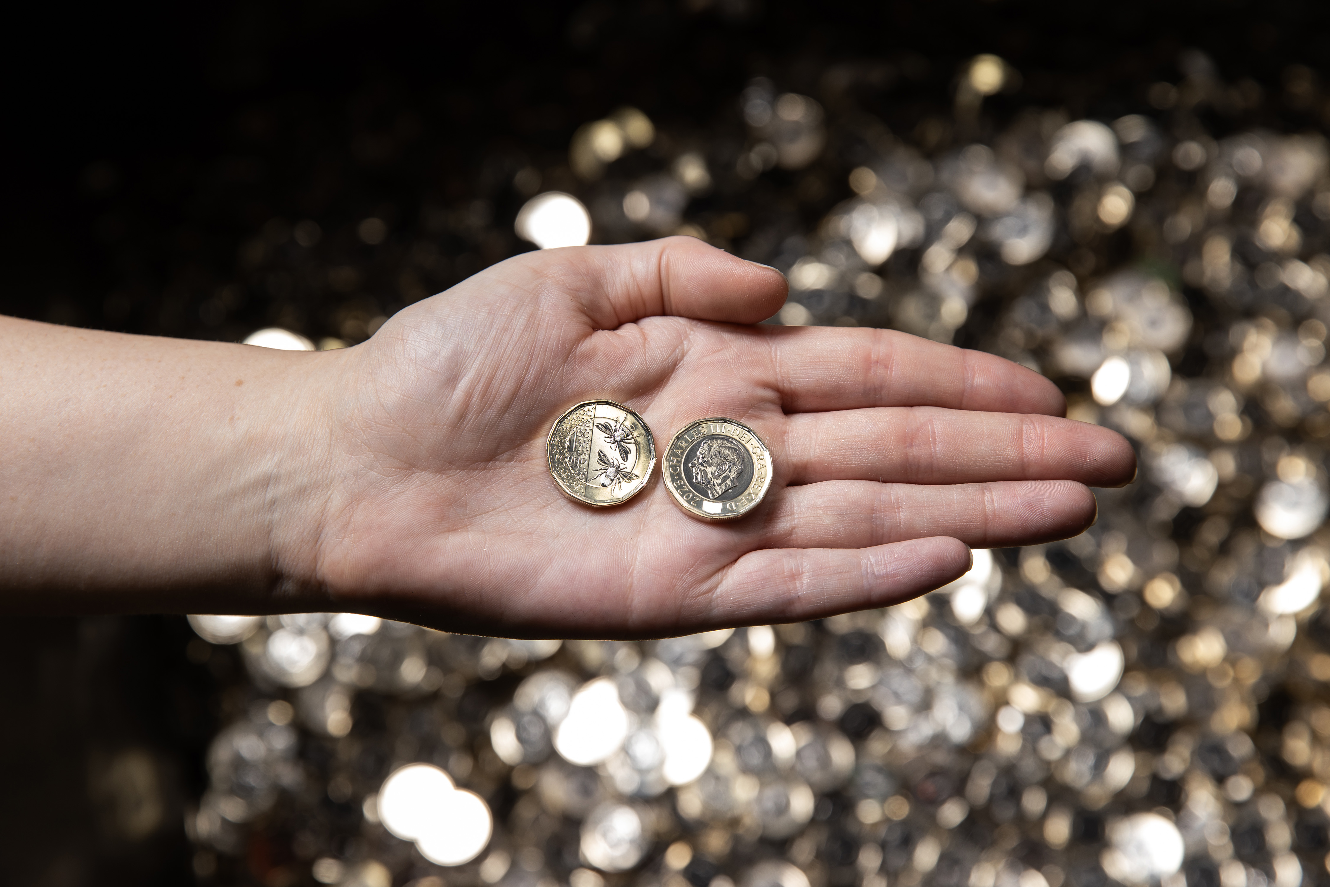 The front and back of the new £1 coin - with two bees on the reverse and the King's effigy on the obverse 