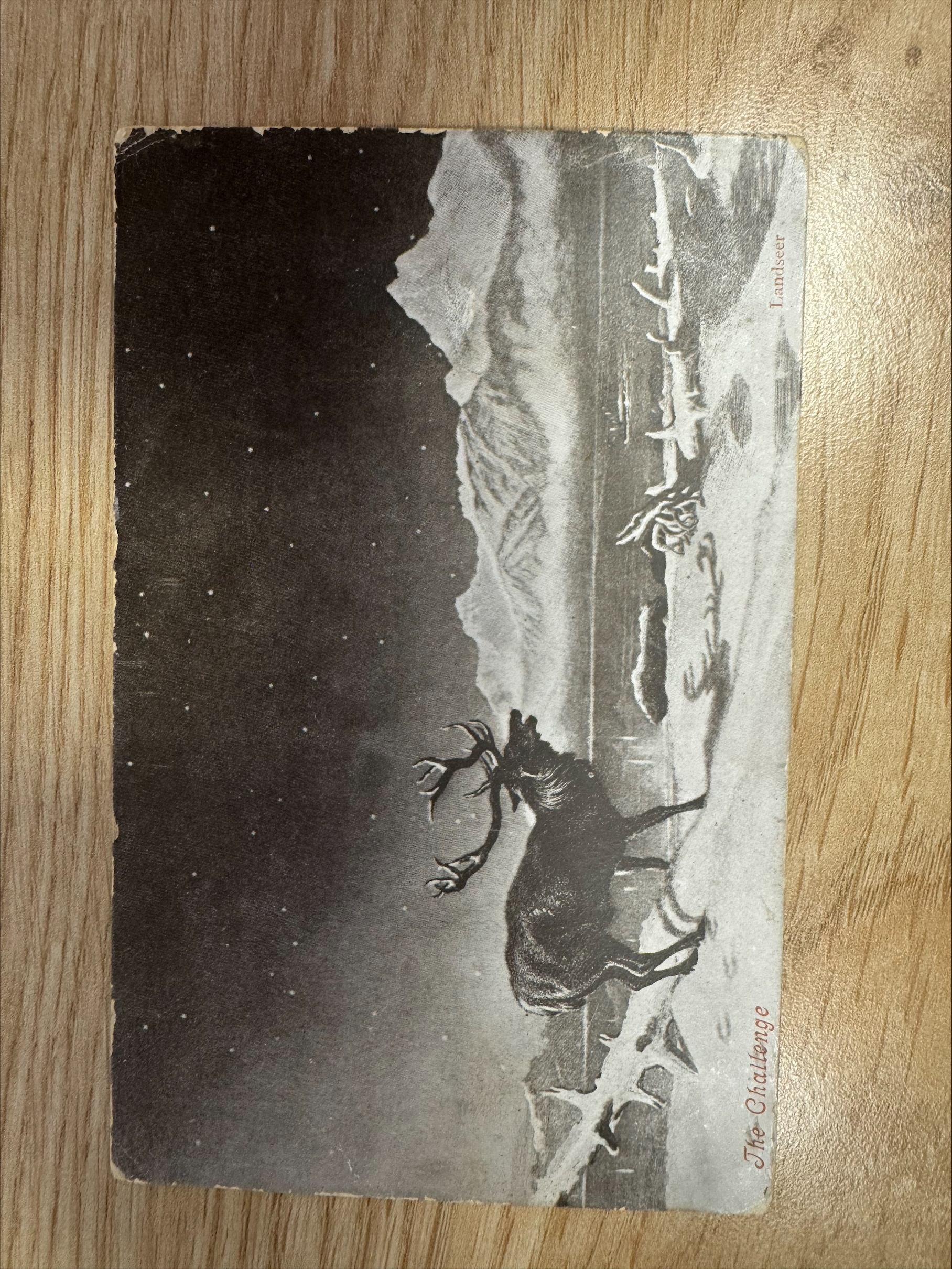 Postcard with a black and white image of a stag stood against a snowy mountainous backdrop