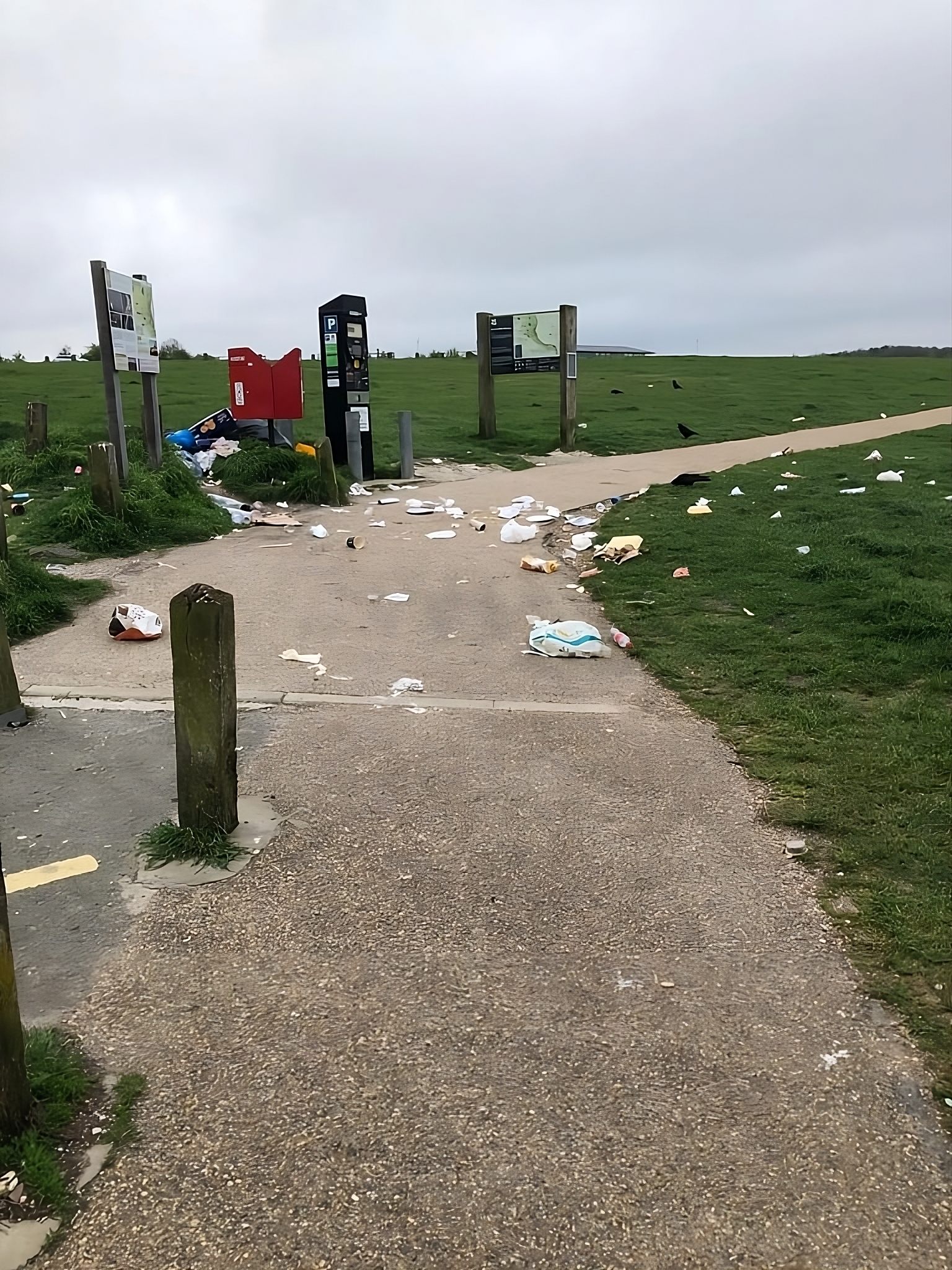 Litter at Dunstable Downs, East of England (National Trust/David Lander)