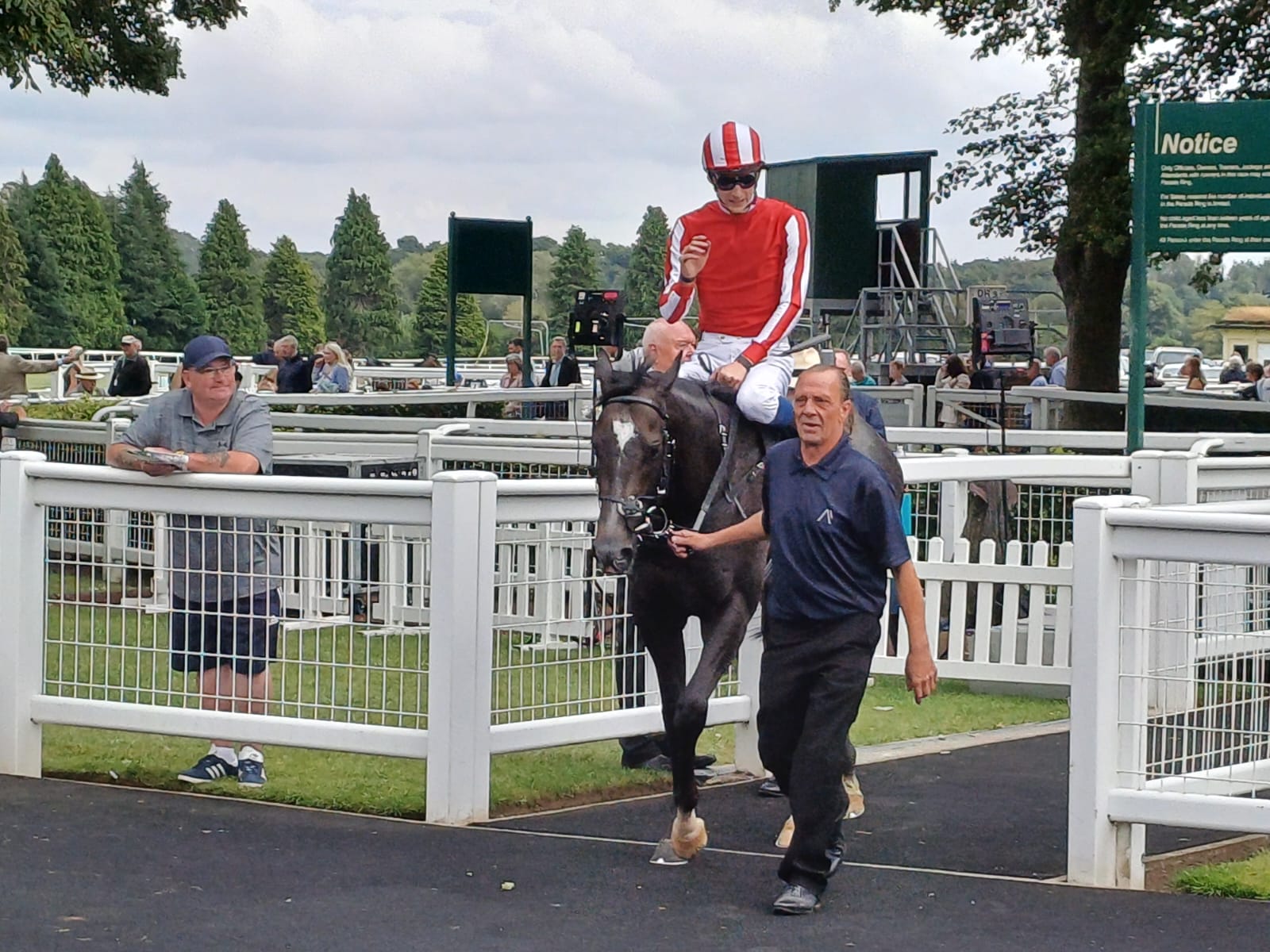 Soldier's Heart and Harry Davies return victorious