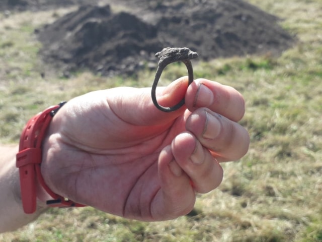 Pictish ring