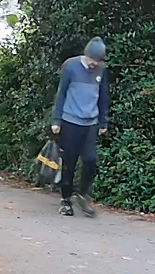 A CCTV image of a person who police investigating the murder of Anita Rose would like to speak to. (Suffolk Police/ PA)