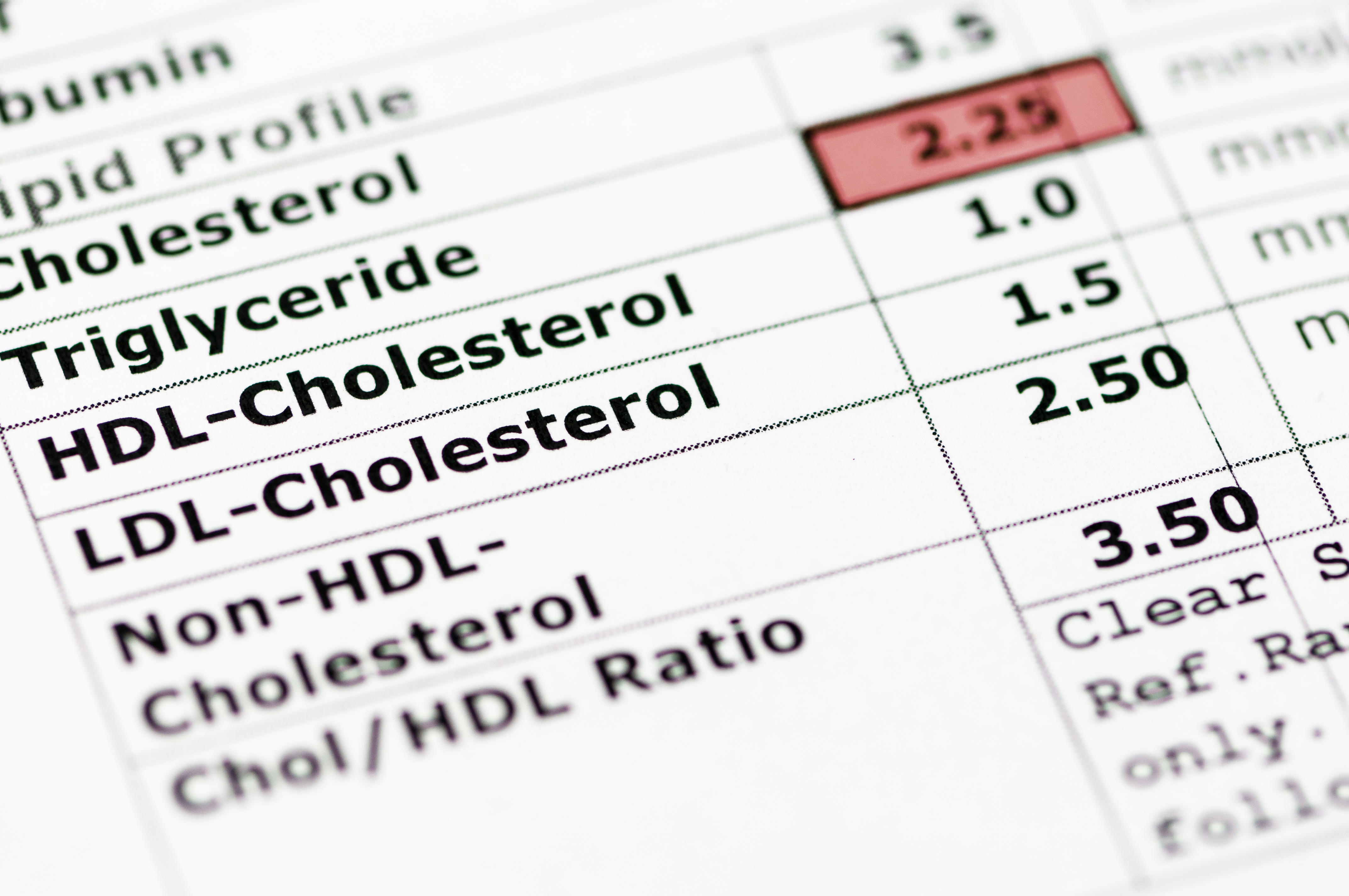 Results of a blood chemistry report showing cholesterol levels 