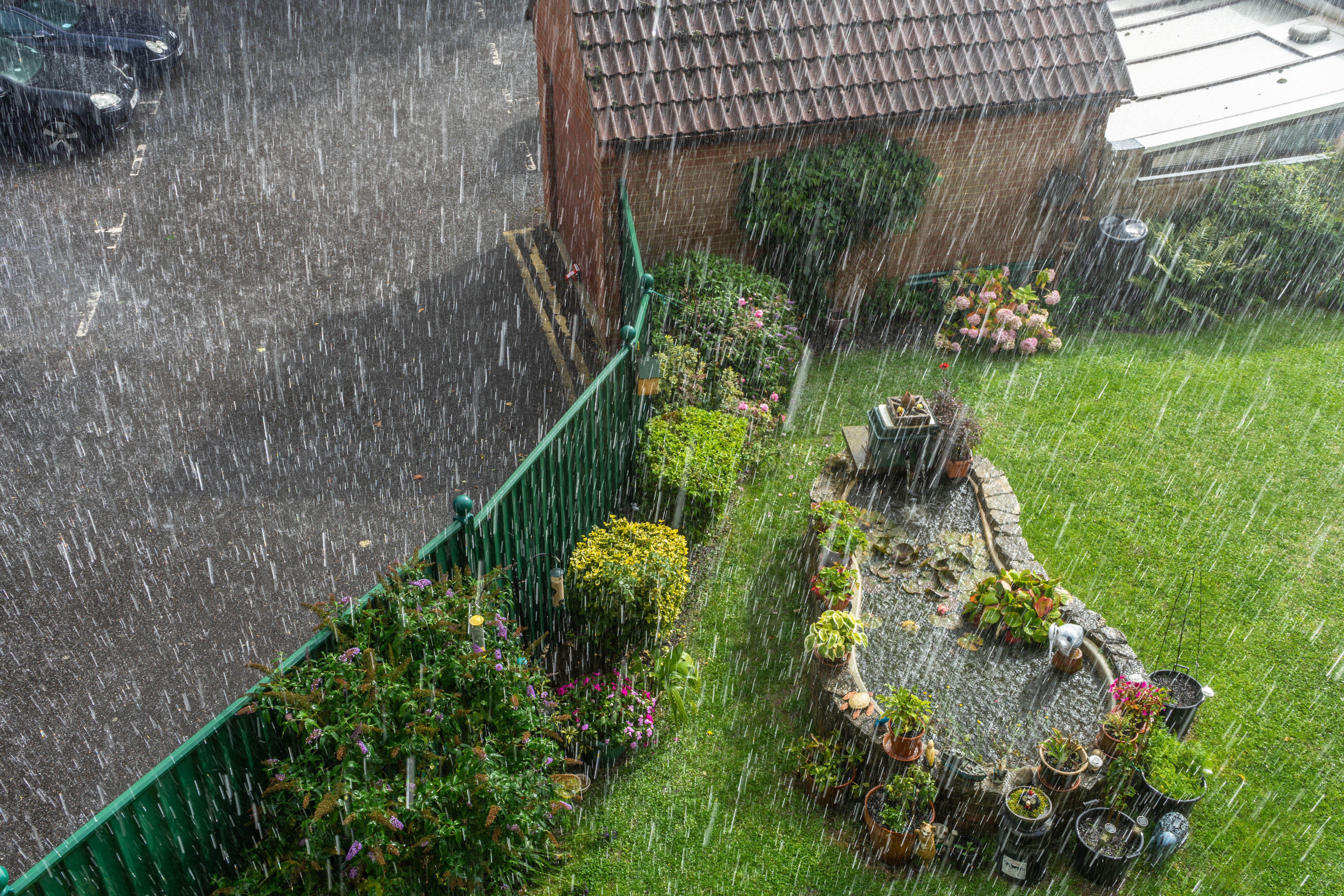 Torrential rainfall during summer over a garden 