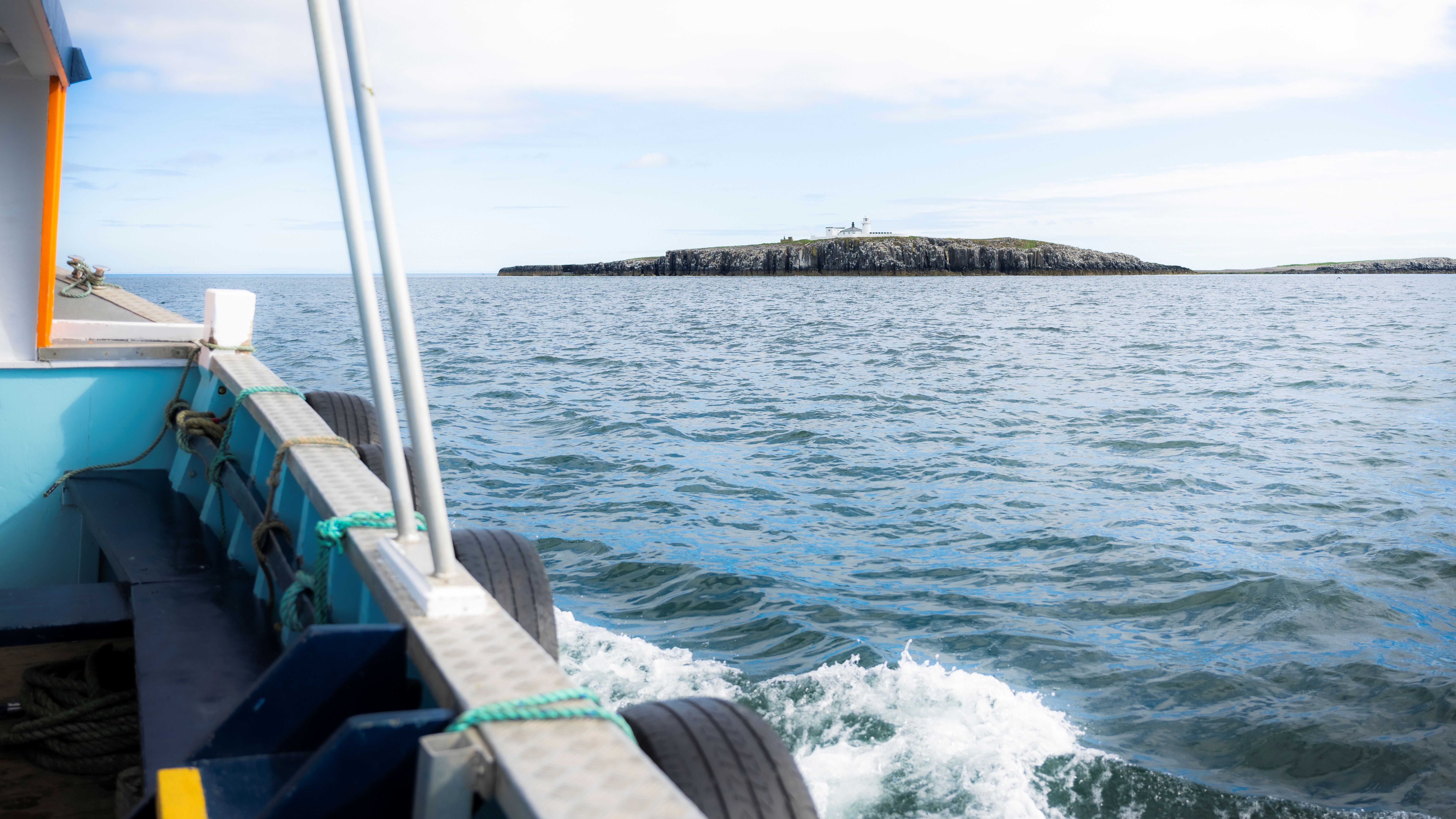 A boats heads out to the Farne Islands