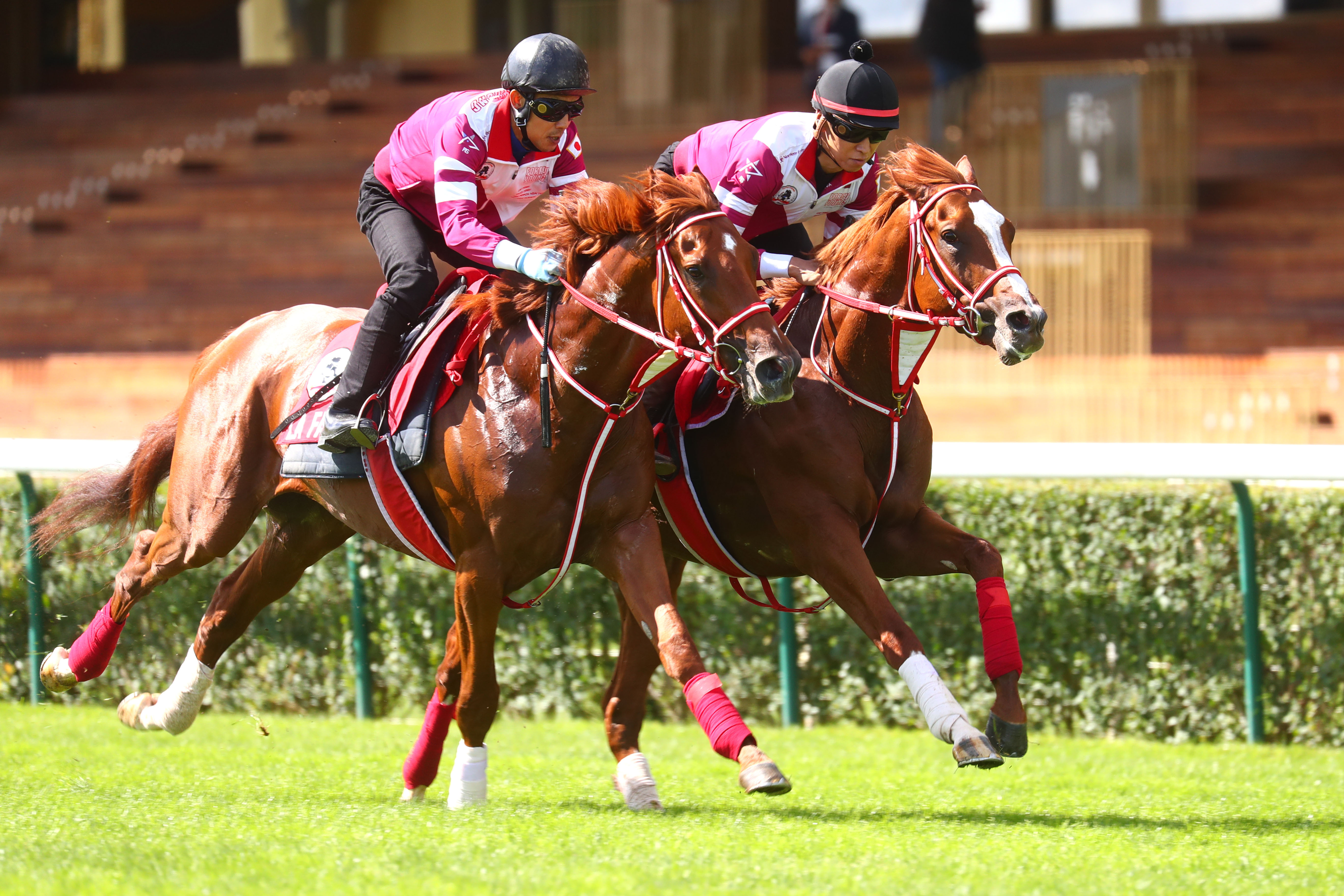 Shin Emperor (far side) in action at ParisLongchamp