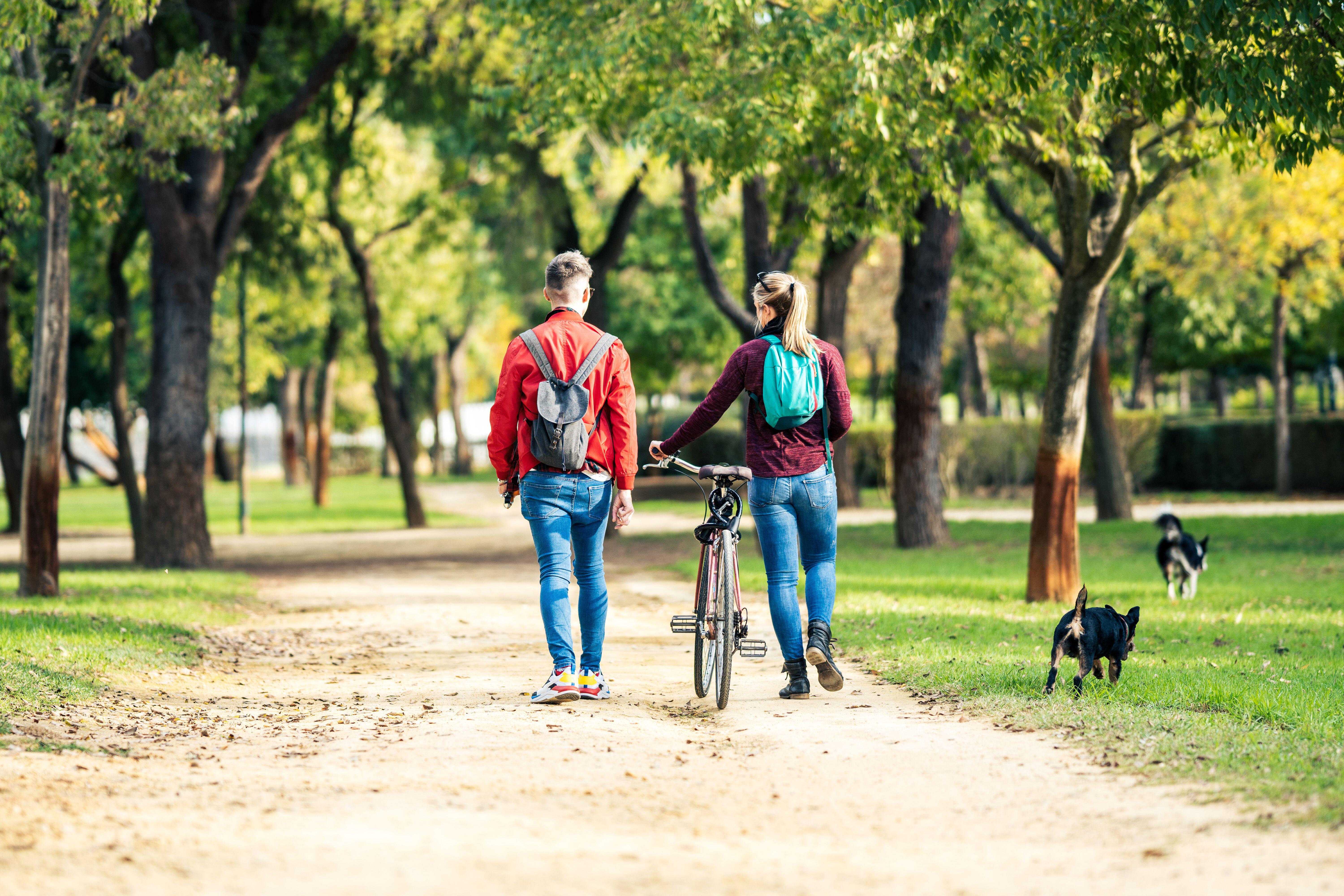 Two friends walking two dogs in a urban park