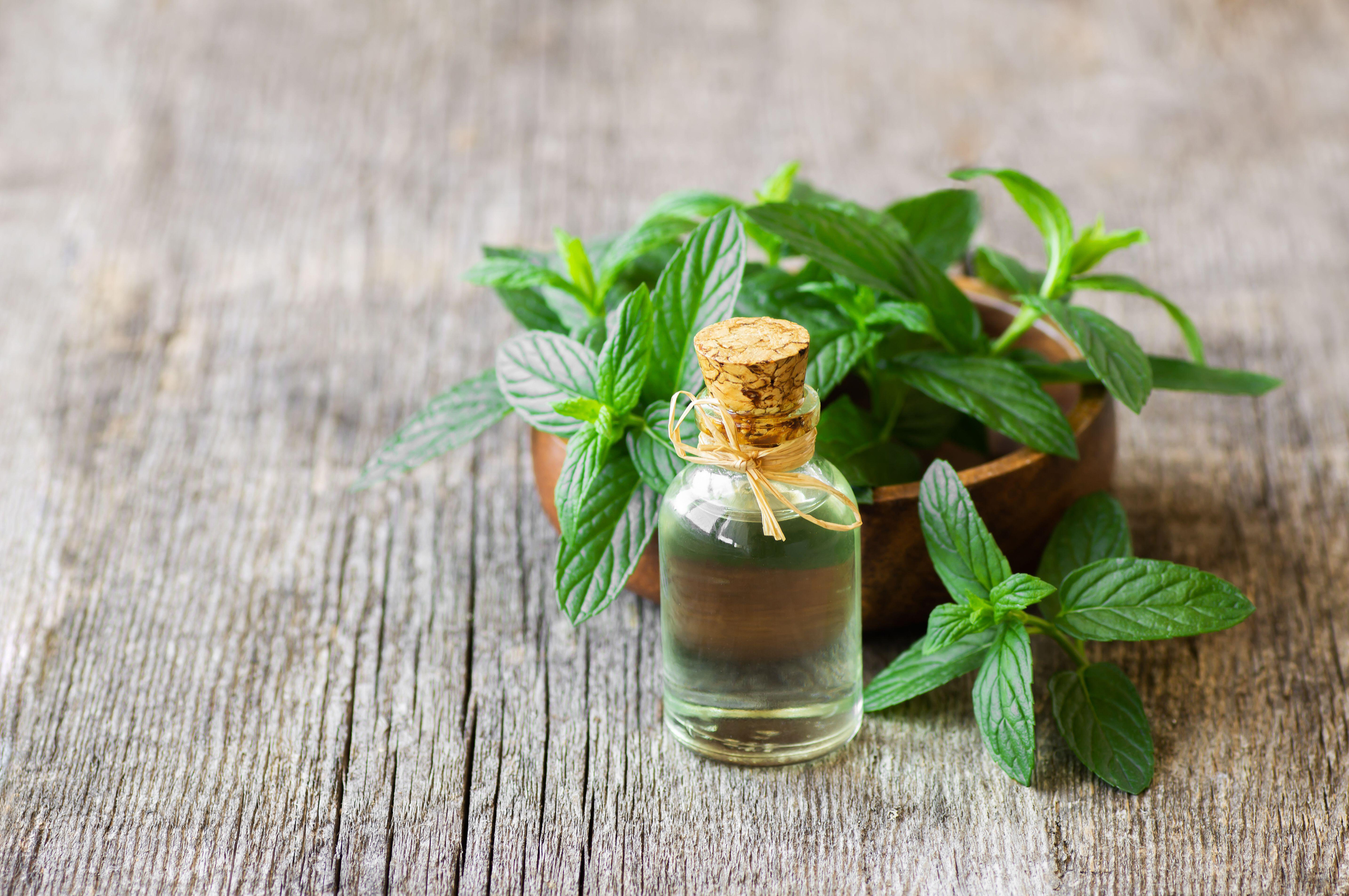 Glass bottle of peppermint essential oil with fresh green mint leaves 