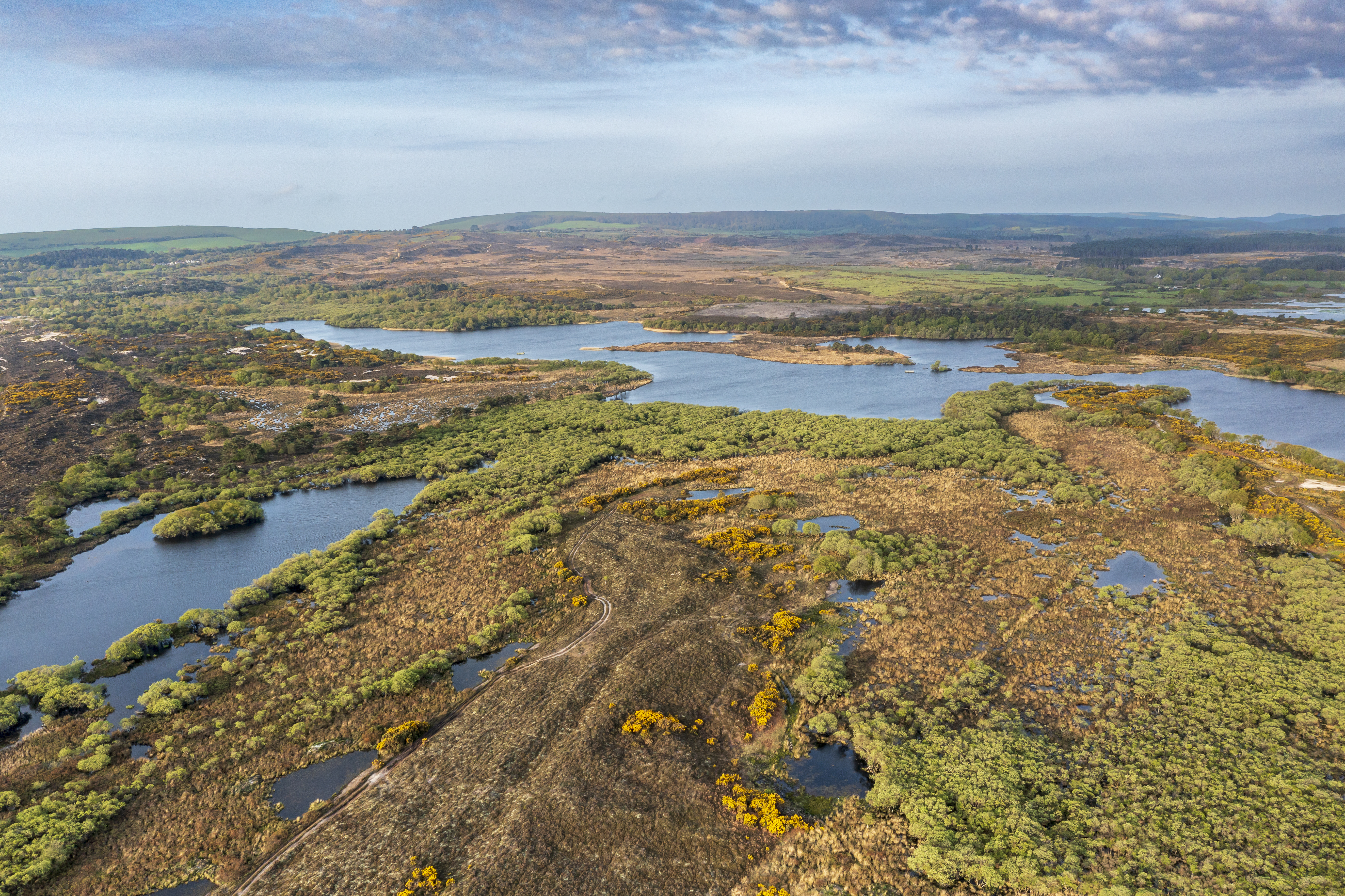 Aerial view of heathland and lakes at Studland