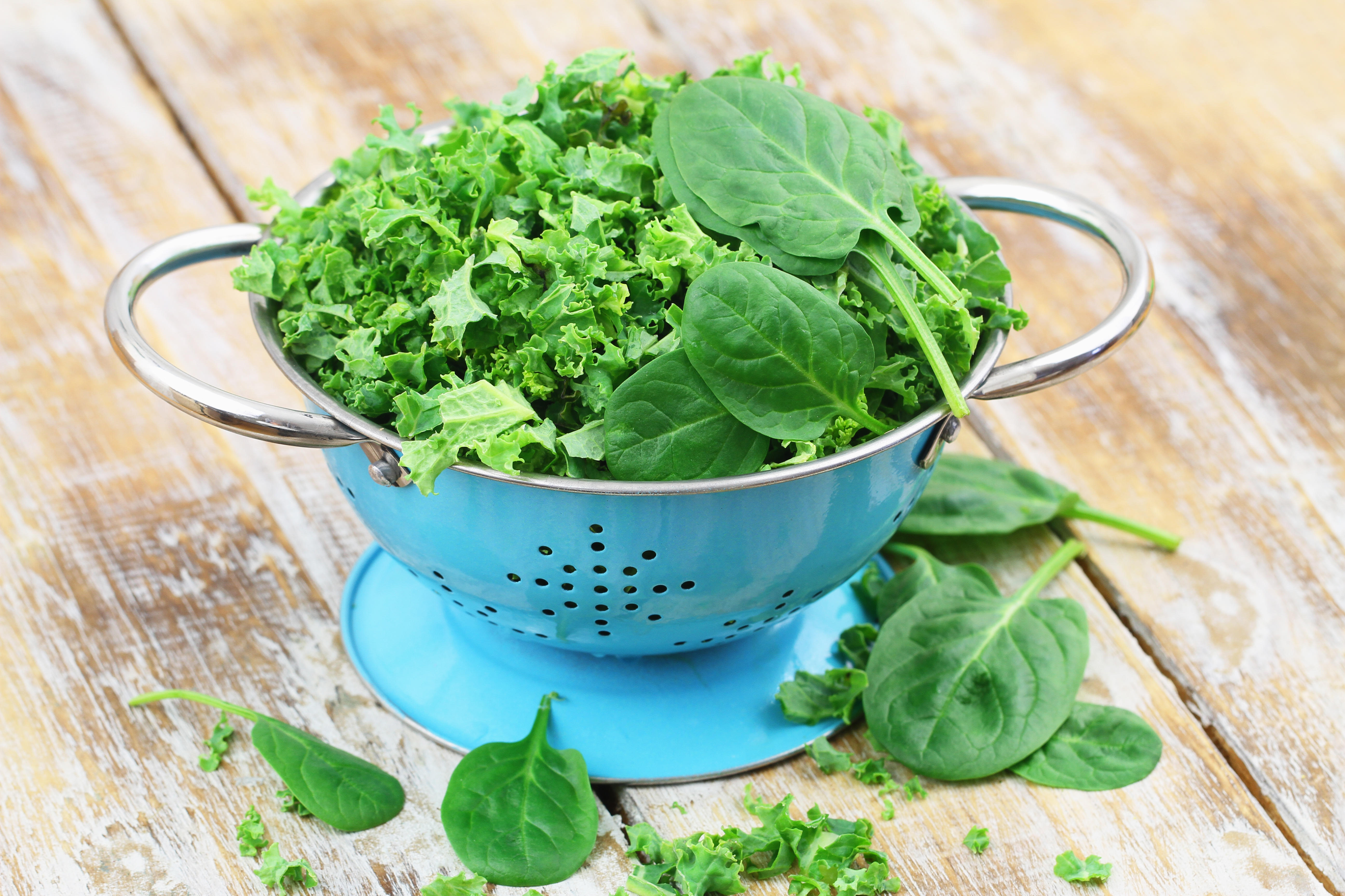 Shredded raw kale and spinach baby leaves in blue colander on a rustic wooden surface 