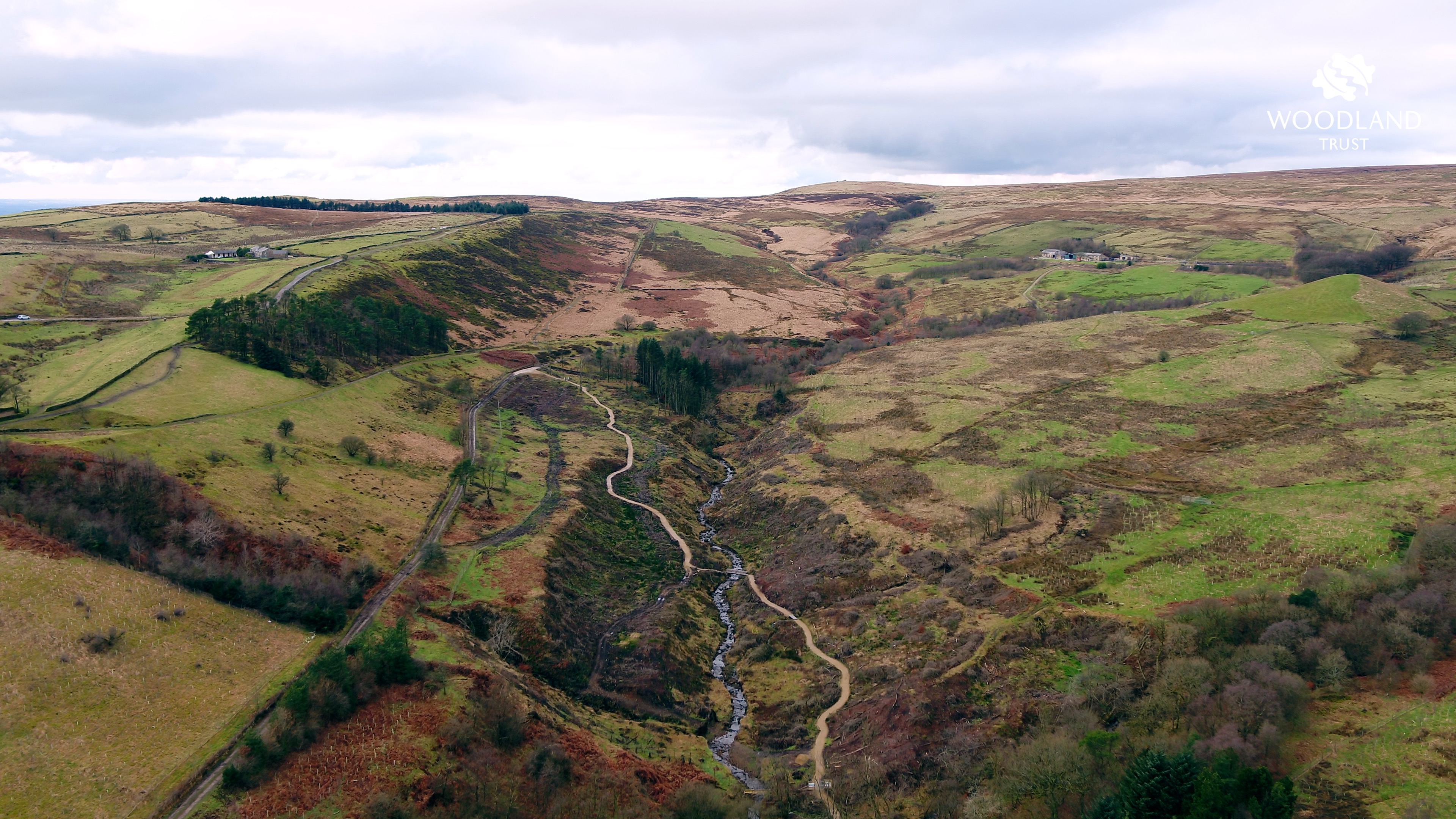 An aerial view of Winter Hill showing the regeneration of vegetation