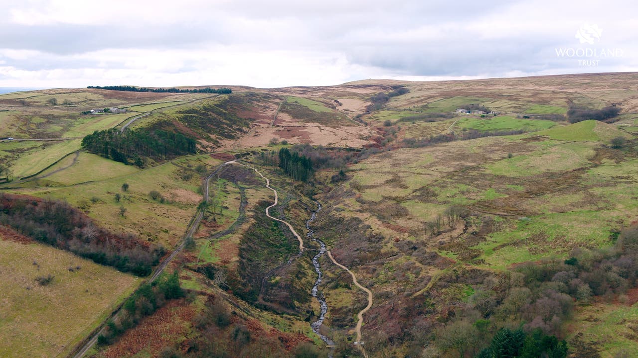 Survey shows ‘few signs’ of peat recovering years after dramatic ...