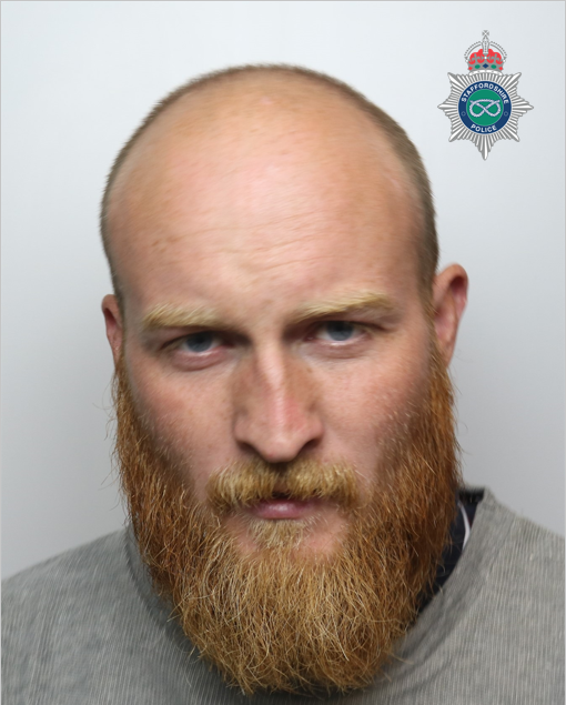 Head shot of a man with a bald head and a beard