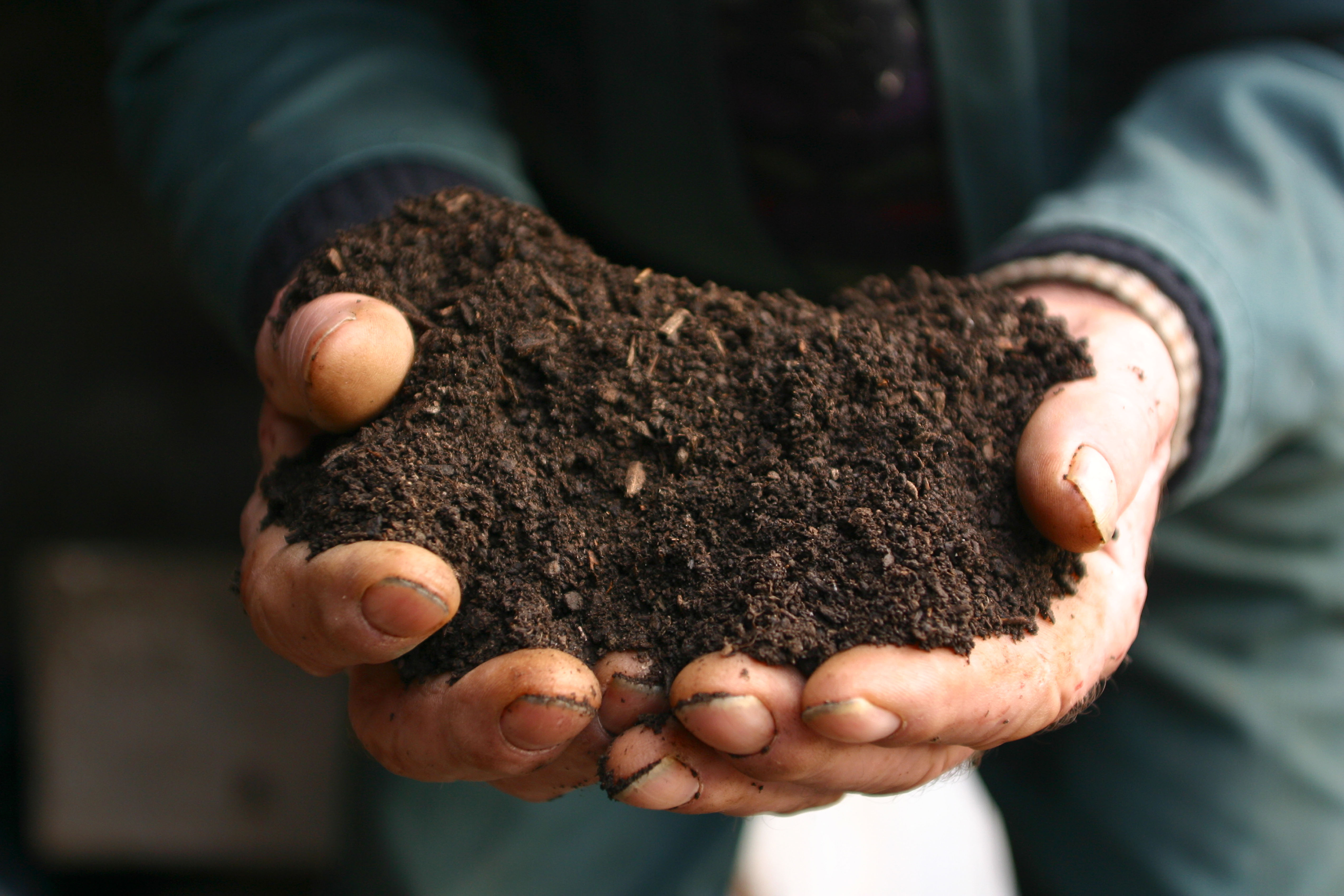 A man holding a handful of compost (Alamy/PA)