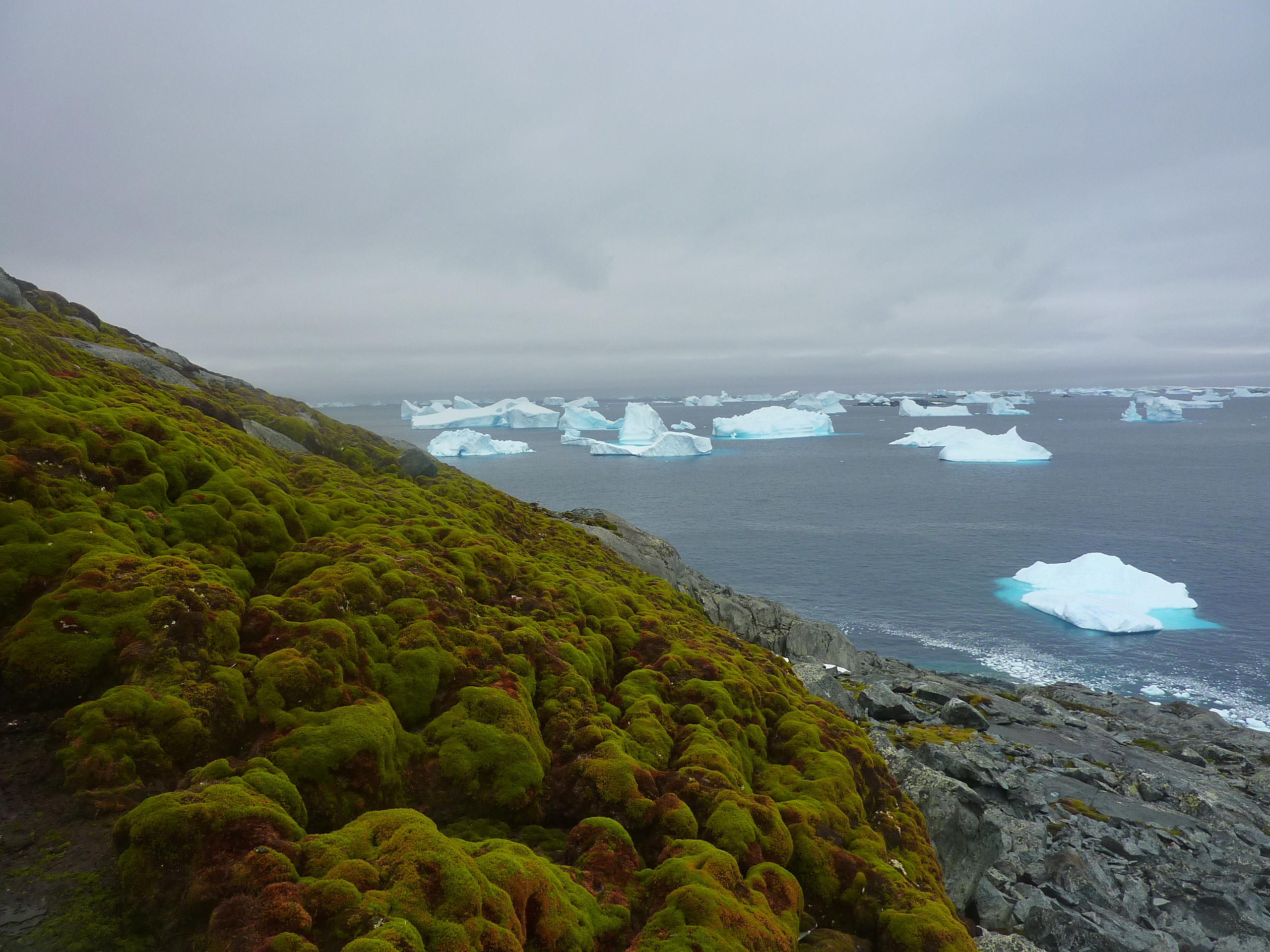 Green Island in the Antarctic