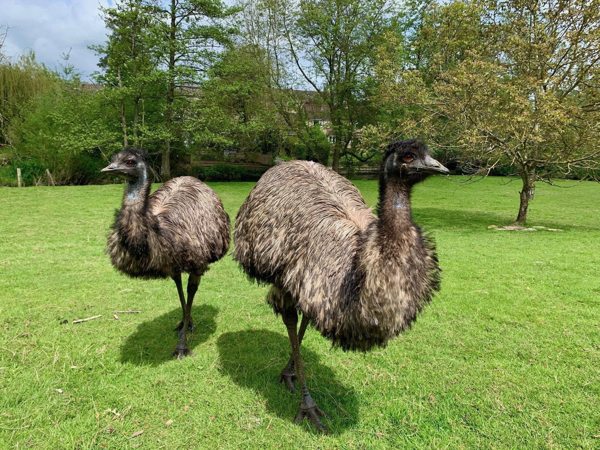 Irwin, pictured left, with his partner Sydney