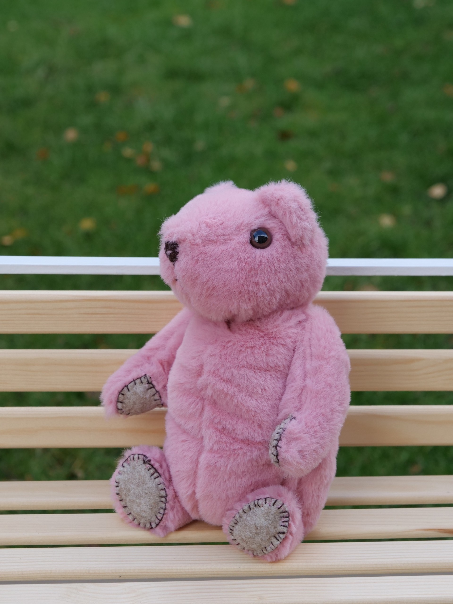 Toy on bench 