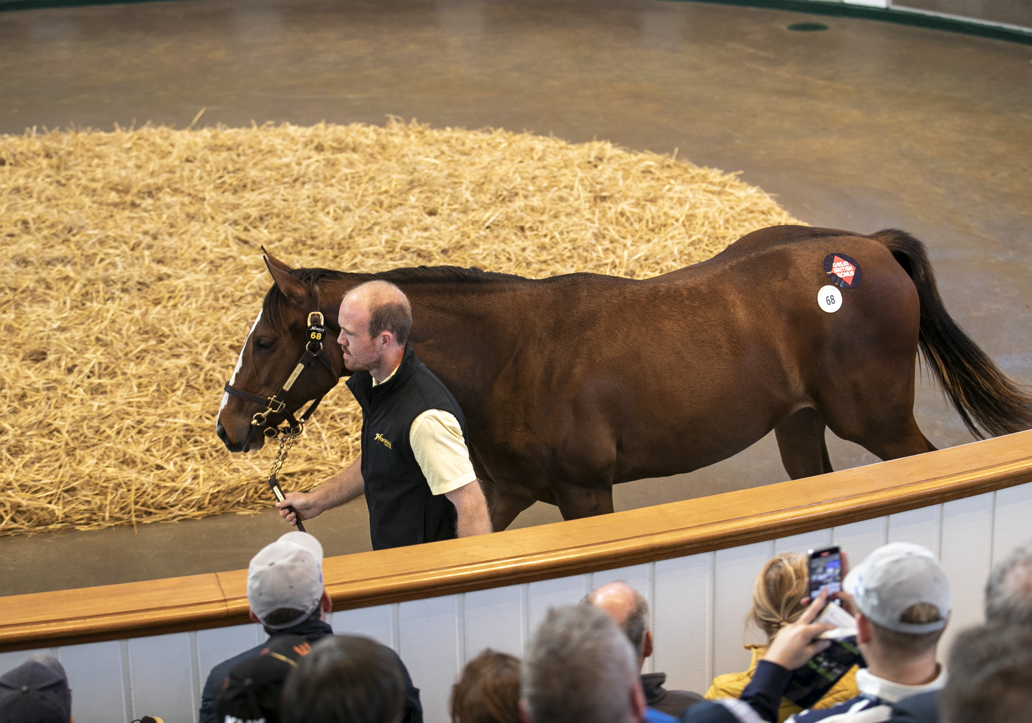 Partying was sold for 4.4million guineas at Tattersalls