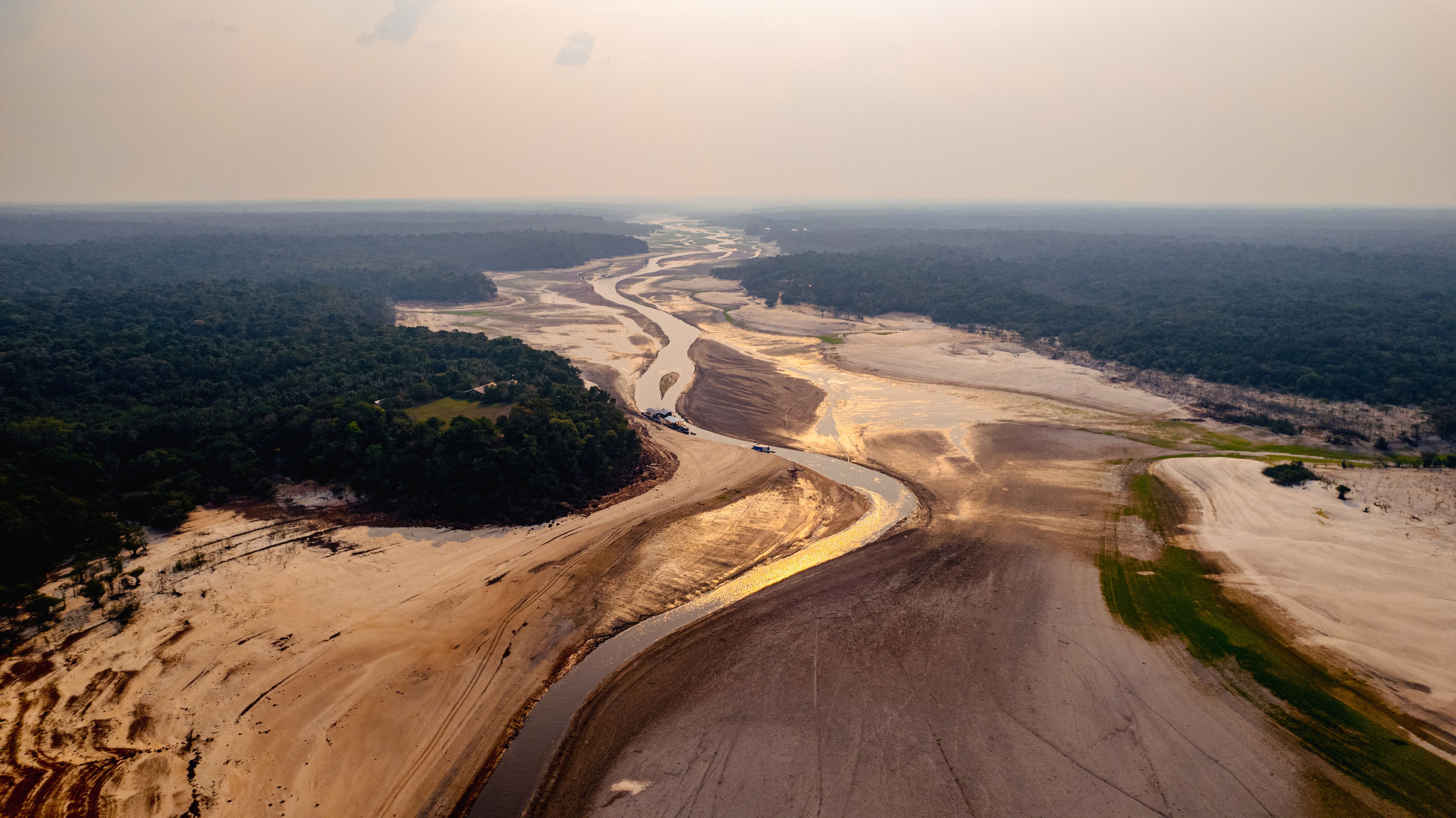 The Manaus region of the Amazon