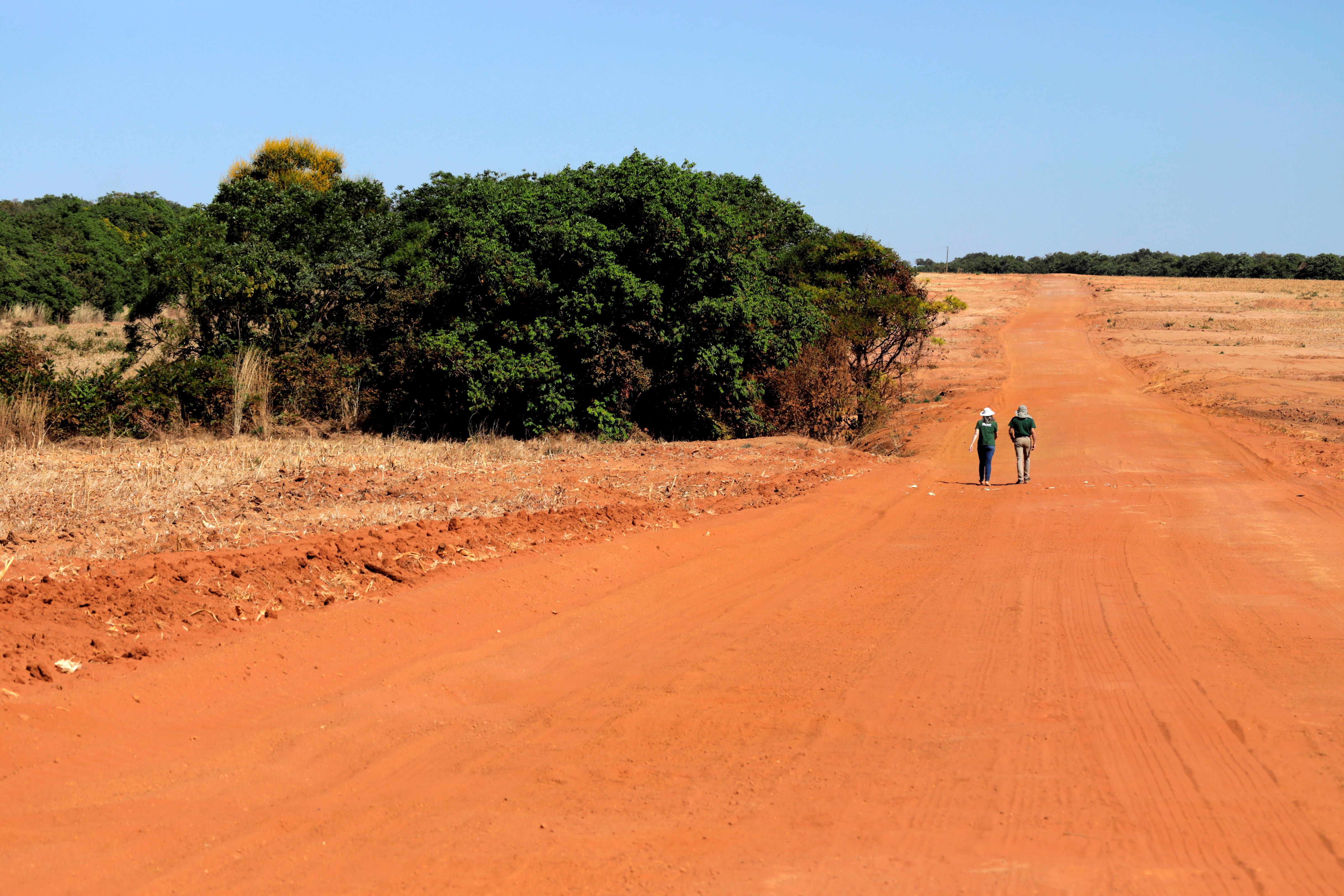 Scientists stand at the red-soil border where the Amazon transitions to the Cerrado in Mato Grosso, Brazil