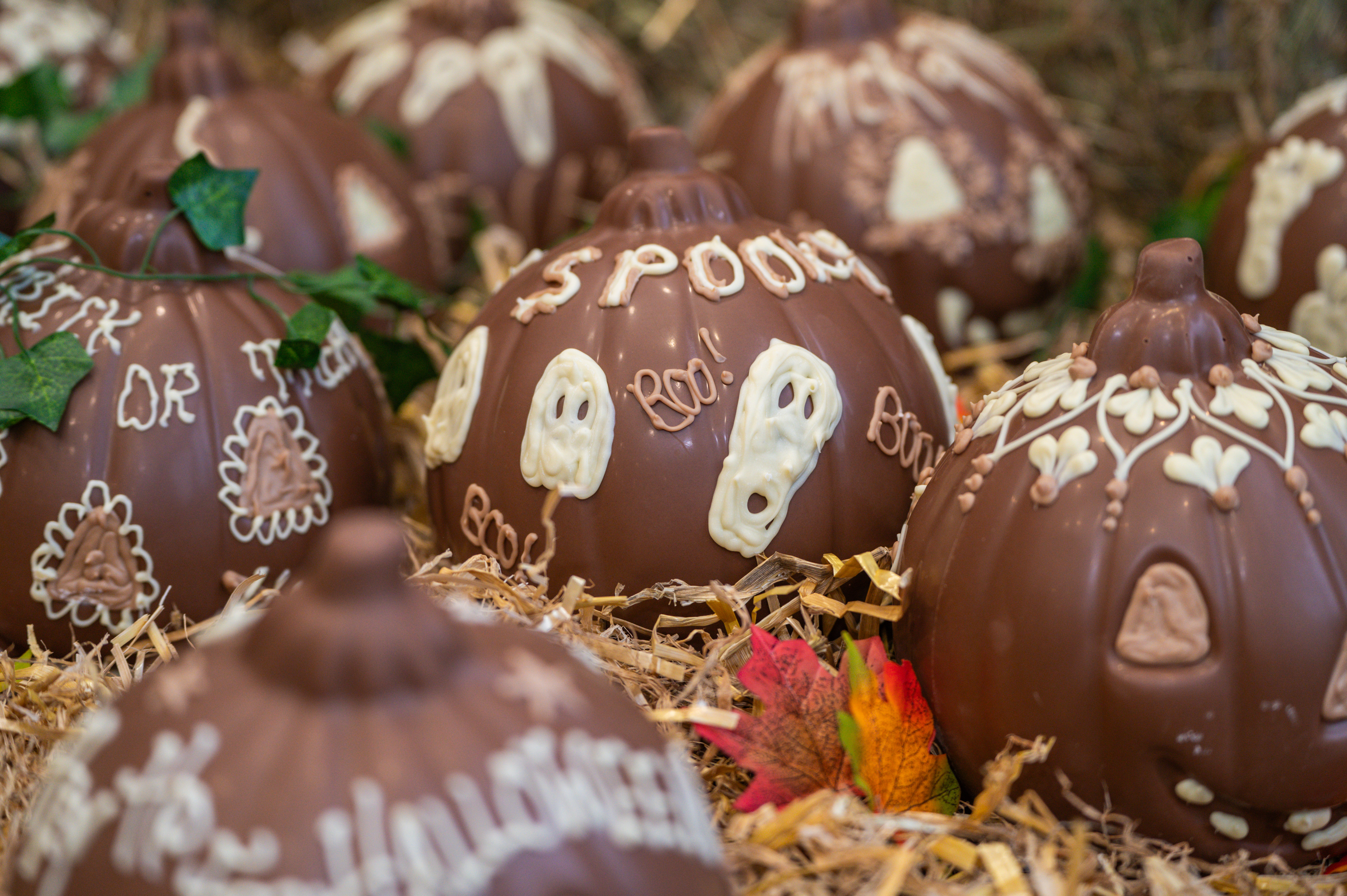 Chocolate pumpkins