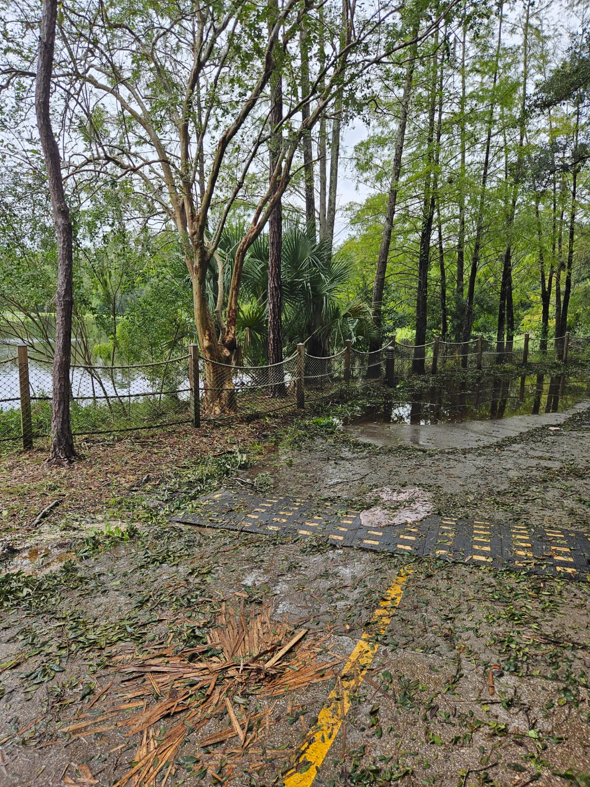 Muddy path