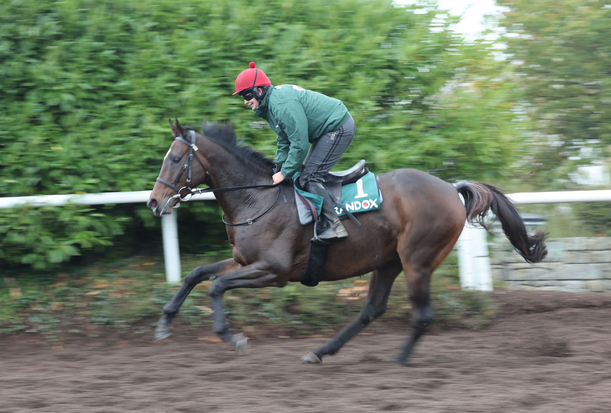 I Am Maximus on the gallops at Closutton