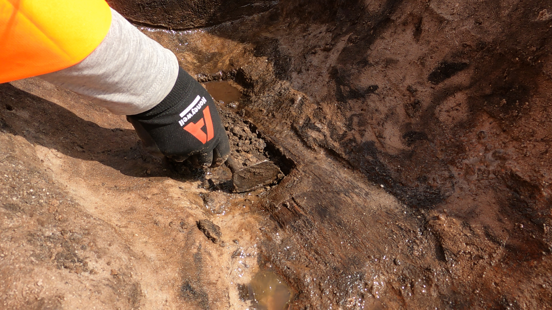 The wooden spade in situ, carefully excavated by Wessex Archaeology experts working on The Moors at Arne project (Wessex Archaeology/PA)