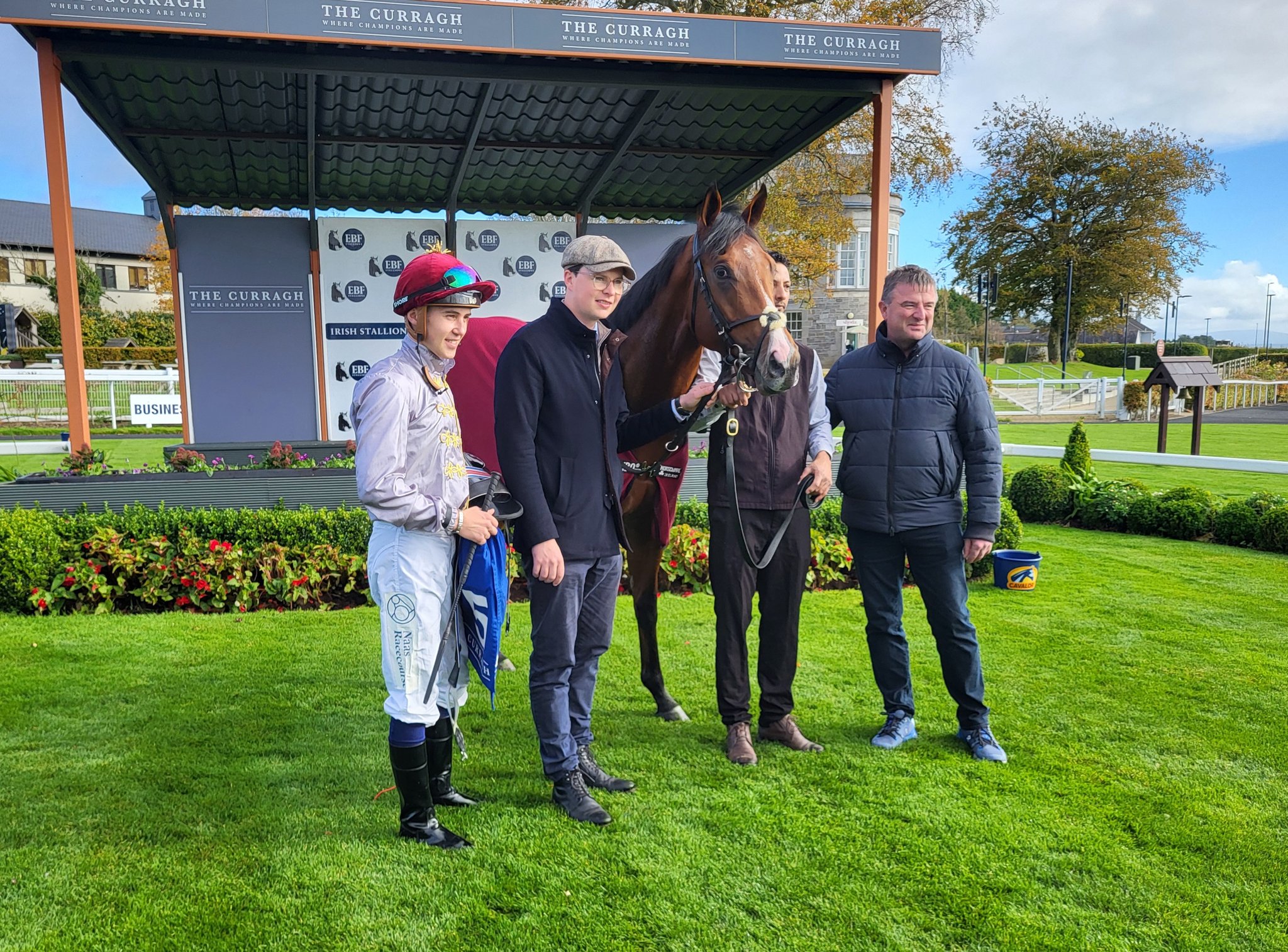 Saracen with connections at the Curragh (