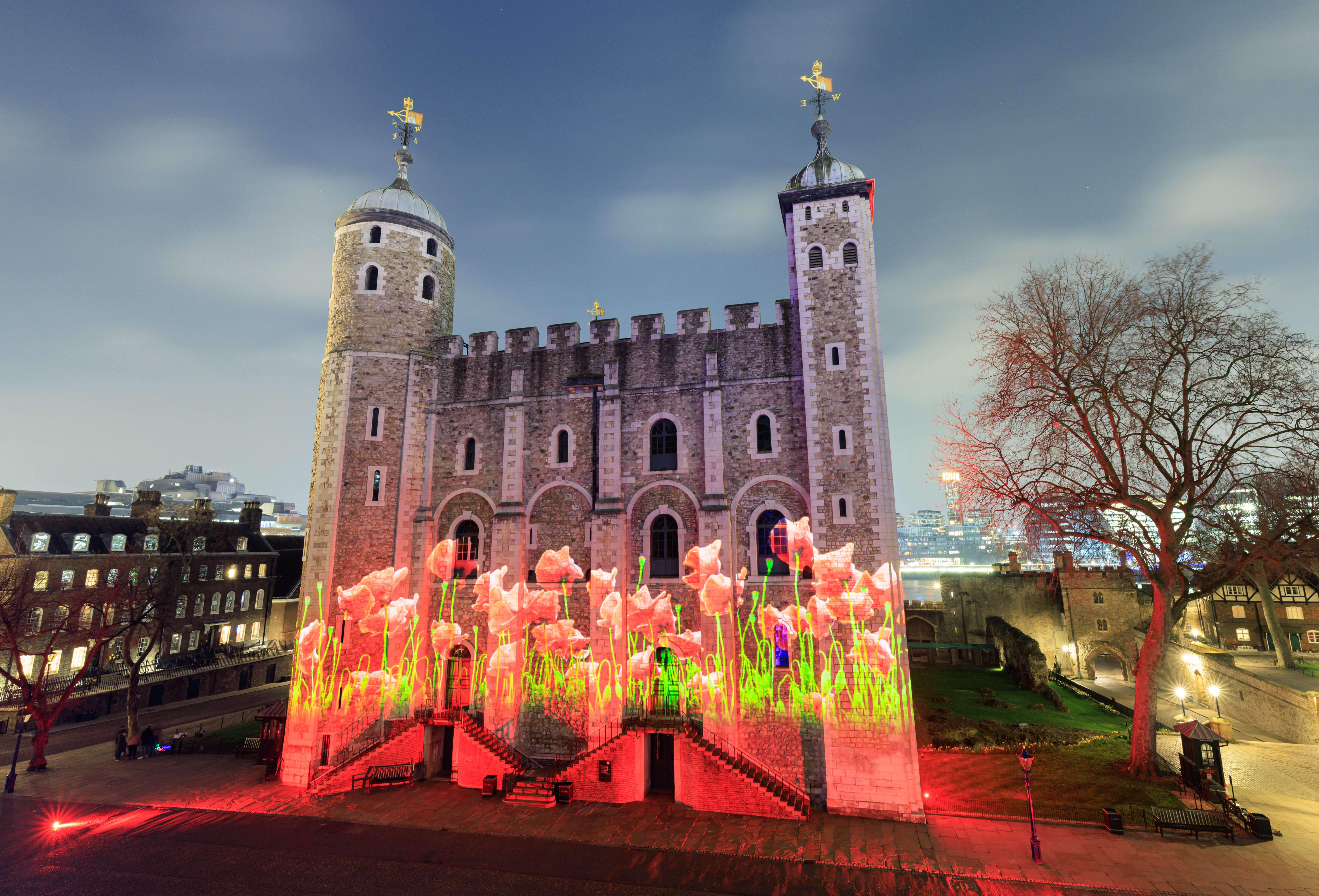 A field of poppies projected onto the White Tower