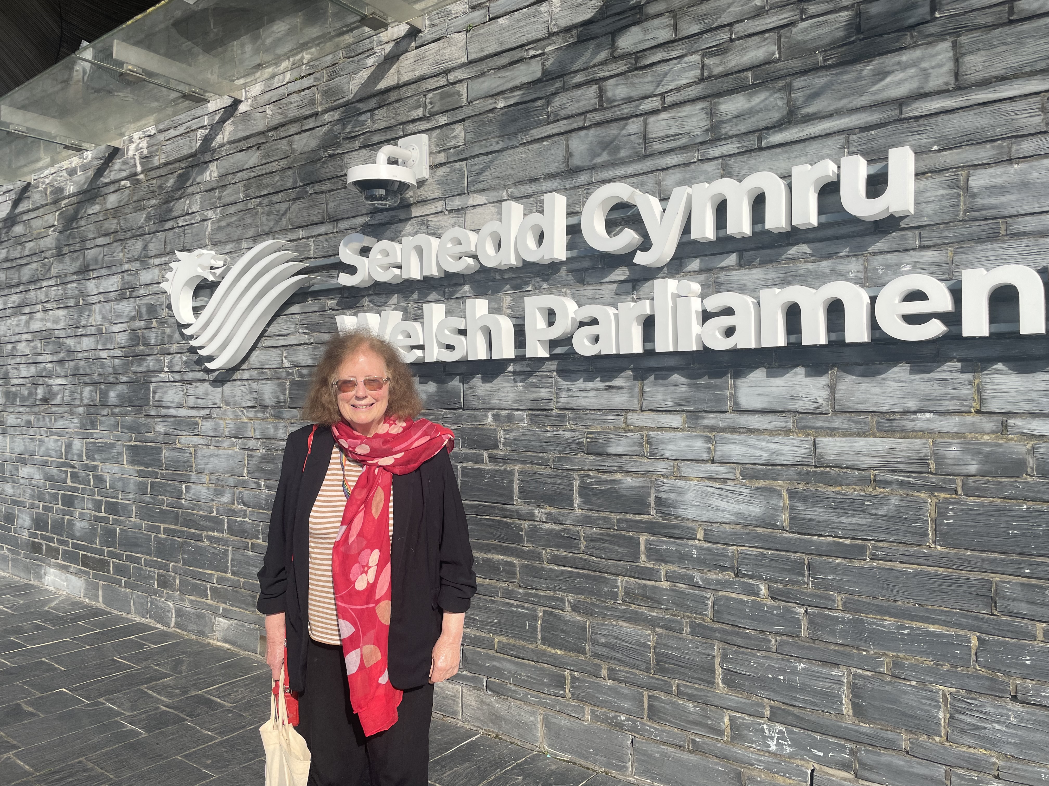 Julie Morgan, the member of the Senedd for Cardiff North, who brought forward the motion 