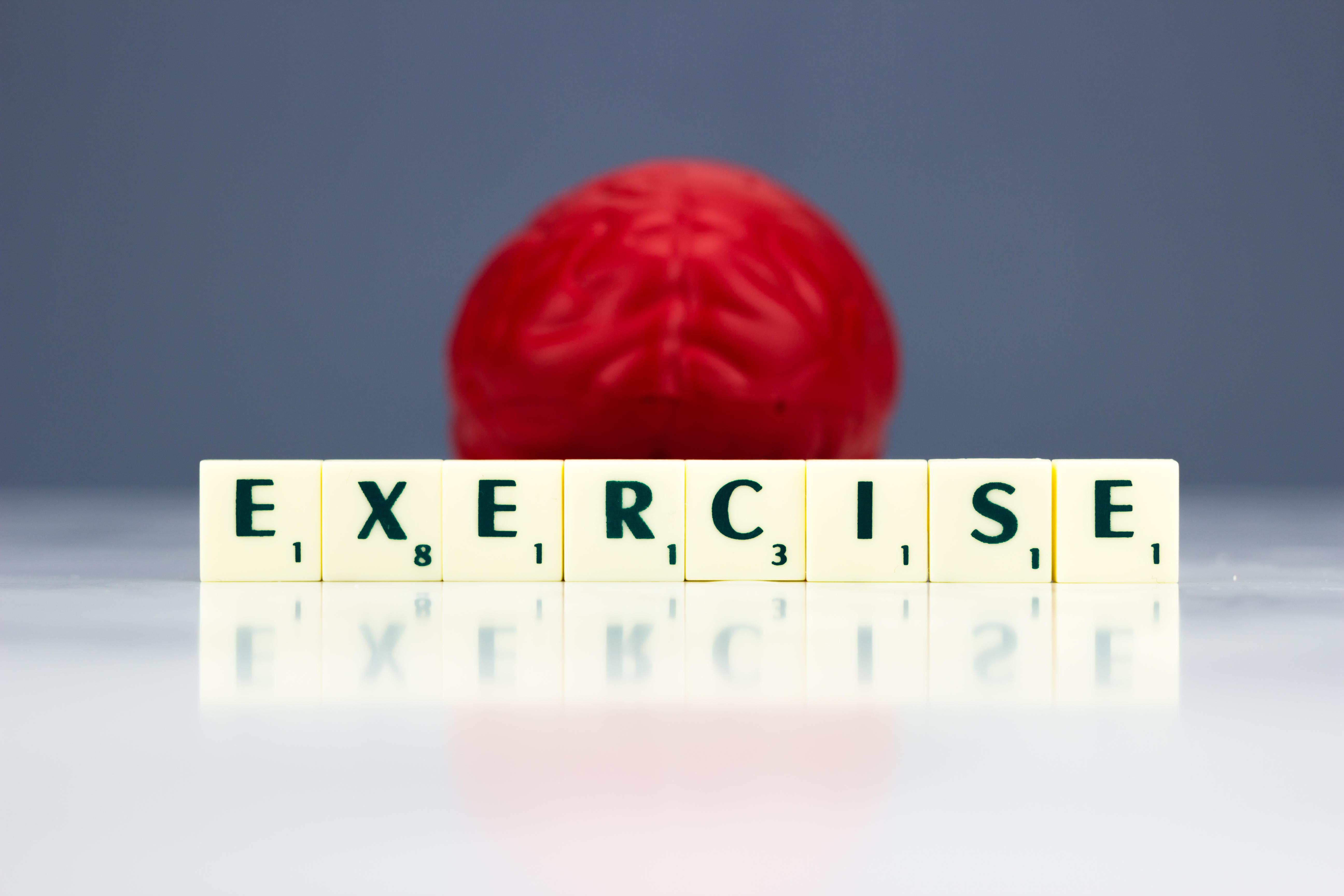 Scrabble letters spelling out the word exercise in front of a red brain