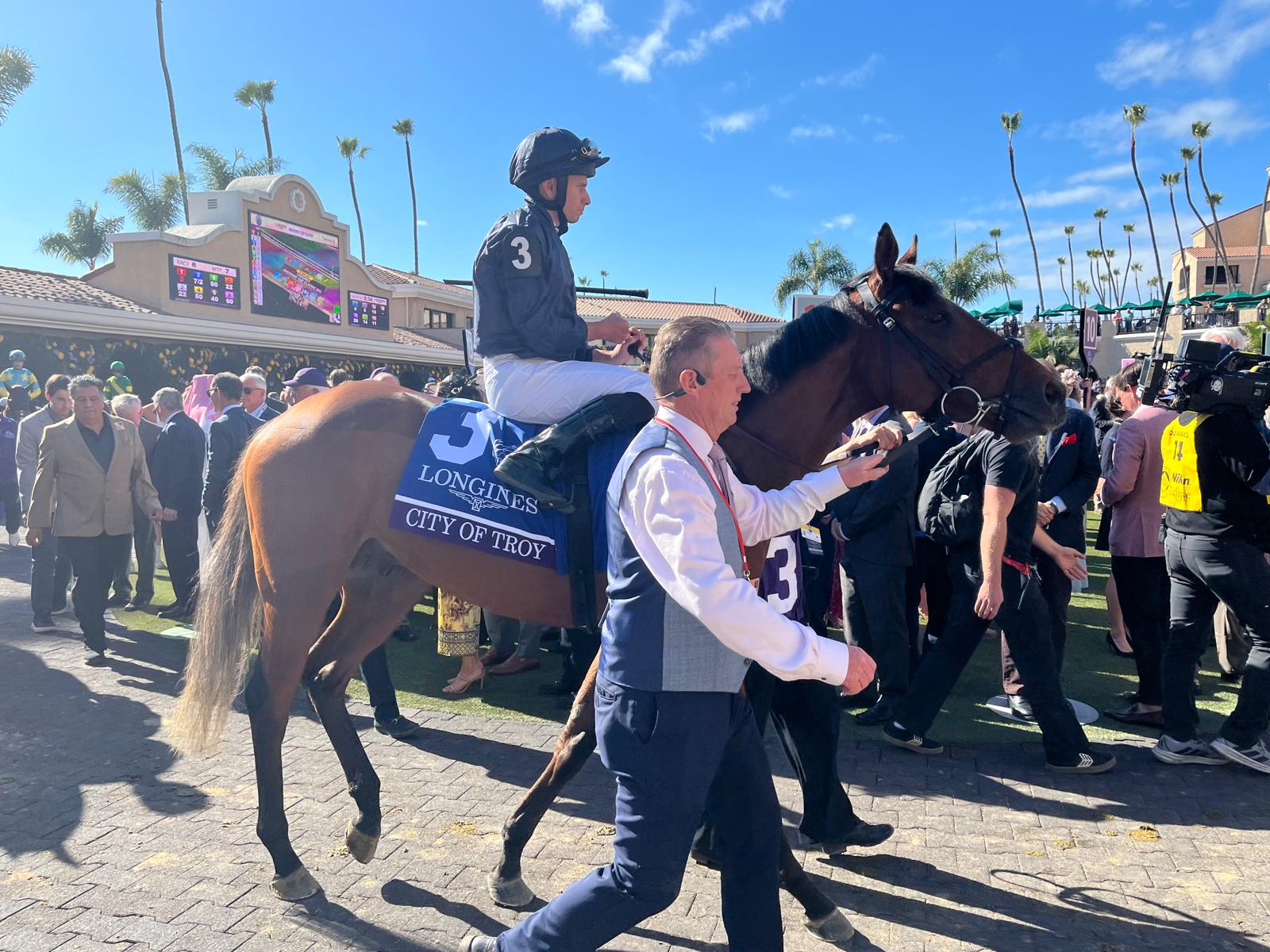 City Of Troy in the paddock before the Breeders' Cup Classic