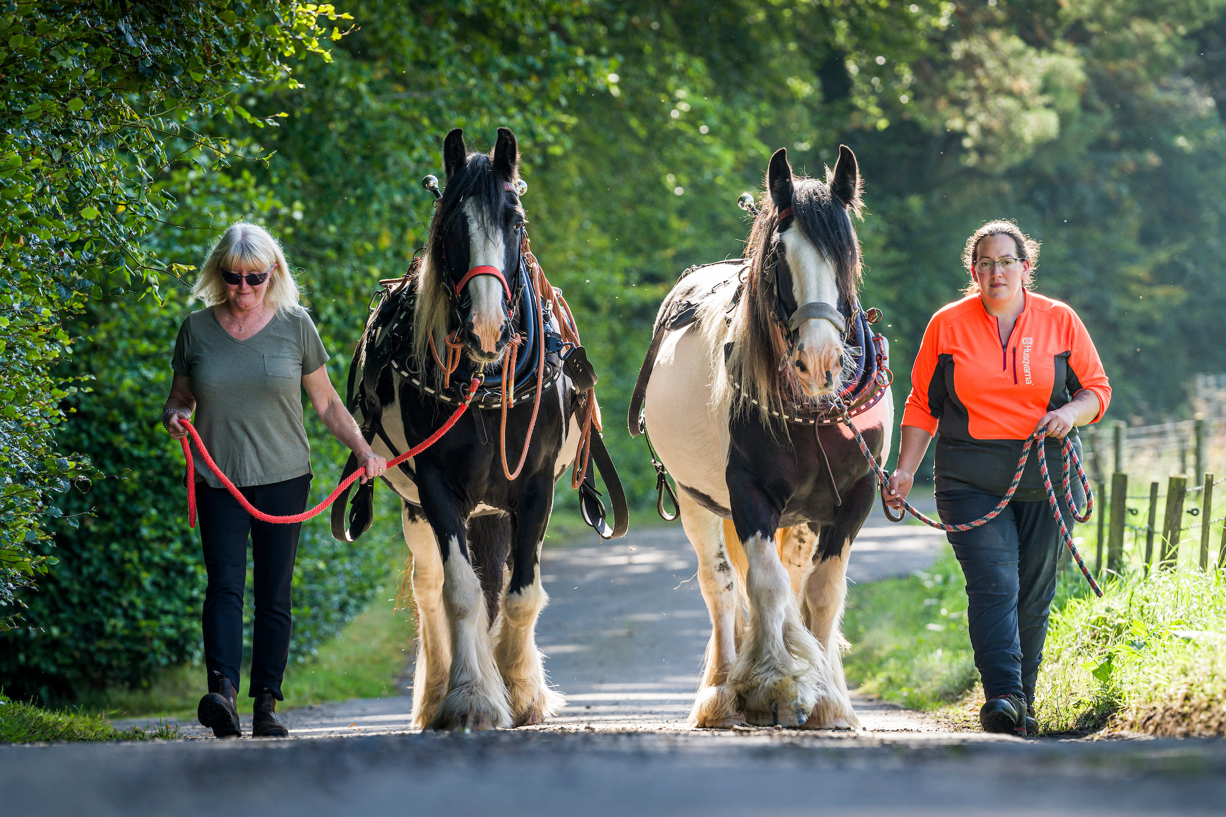 Two women walking alongside two horses