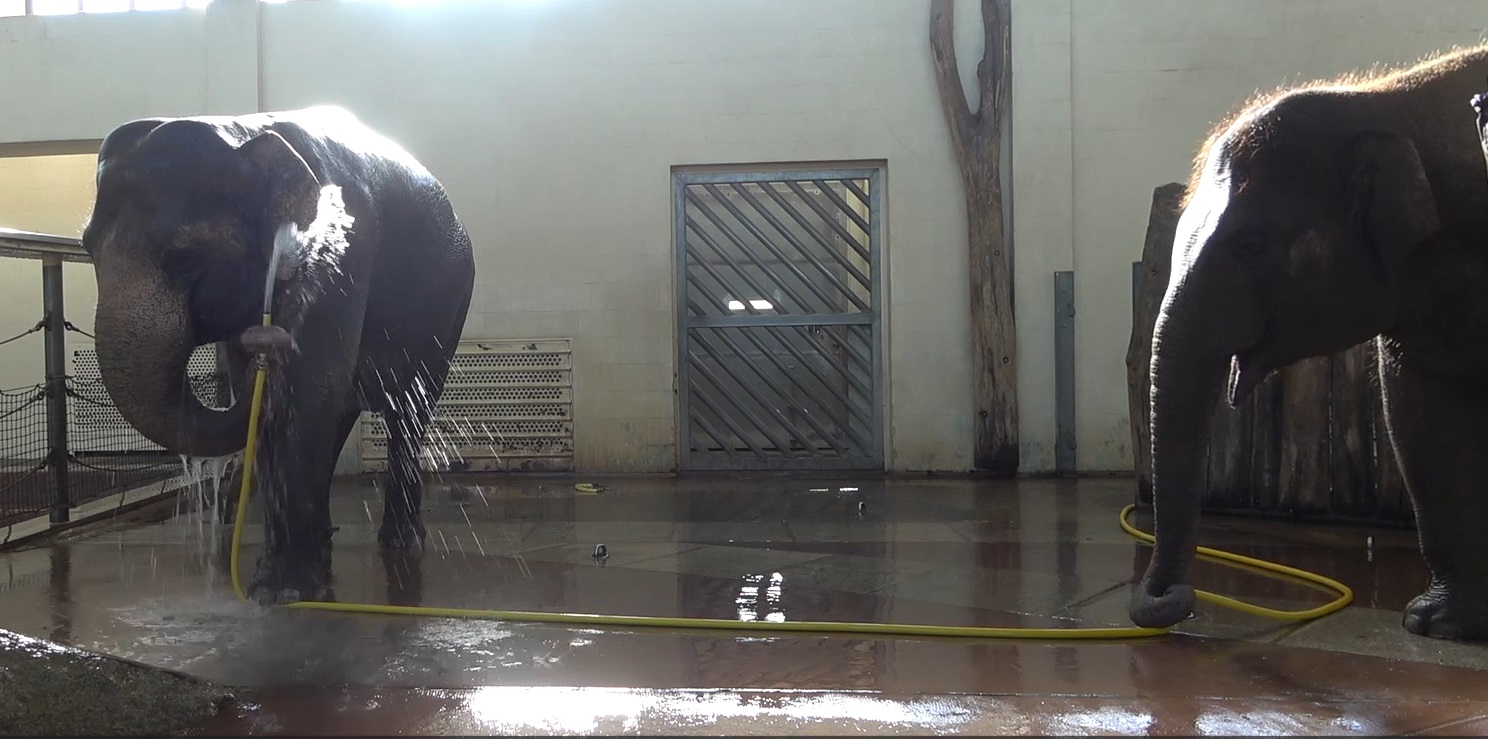 Anchali, right, attempting to 'sabotage' Mary's shower time